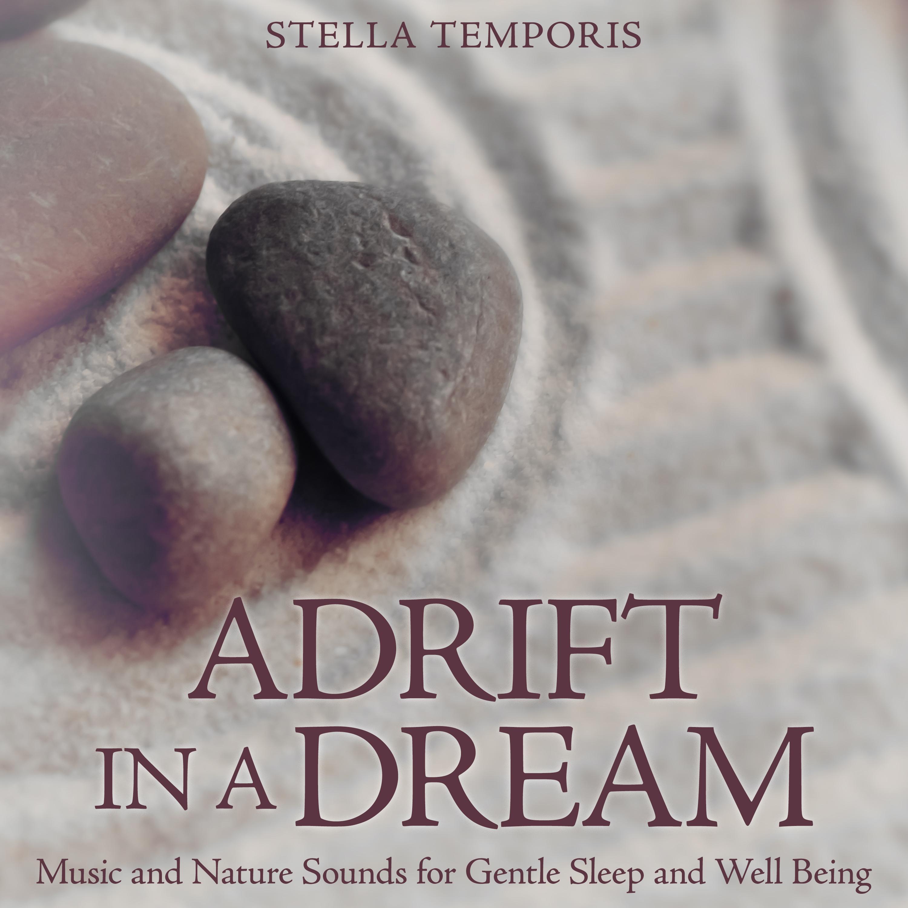 Постер альбома Adrift in a Dream: Music and Nature Sounds for Gentle Sleep and Well Being