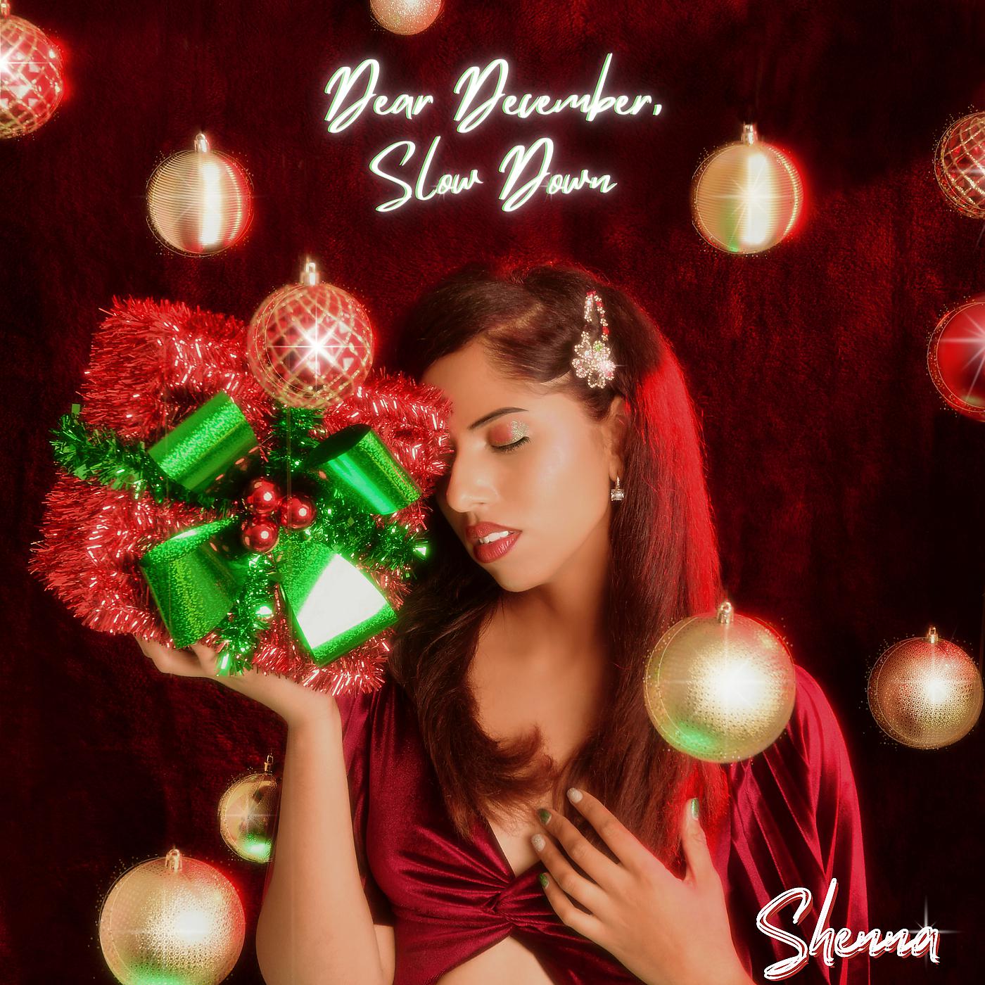 Постер альбома Dear December Slow Down