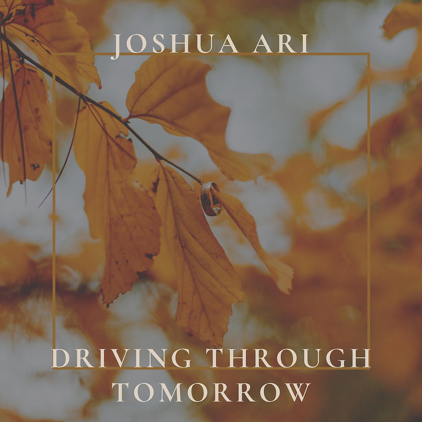 Постер альбома Driving Through Tomorrow