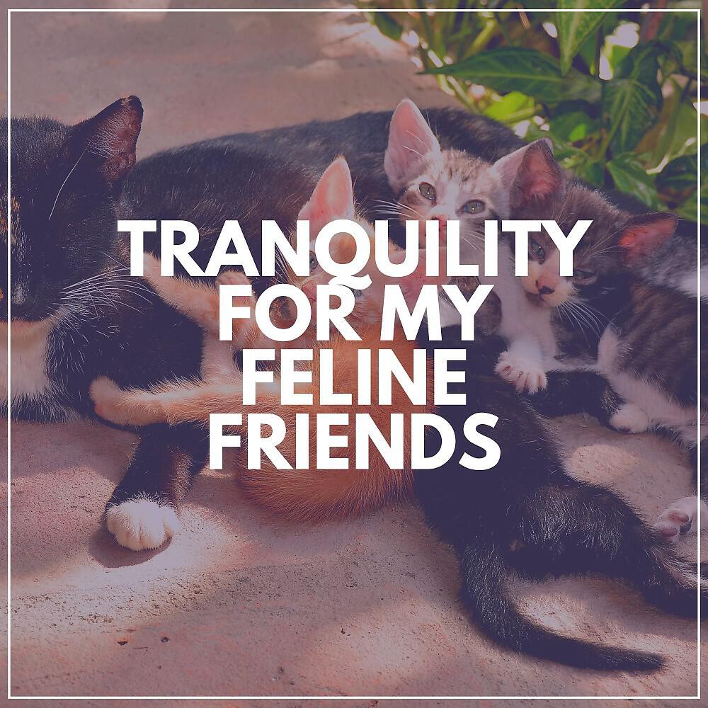 Music For Cats Peace - A Sound for Cats