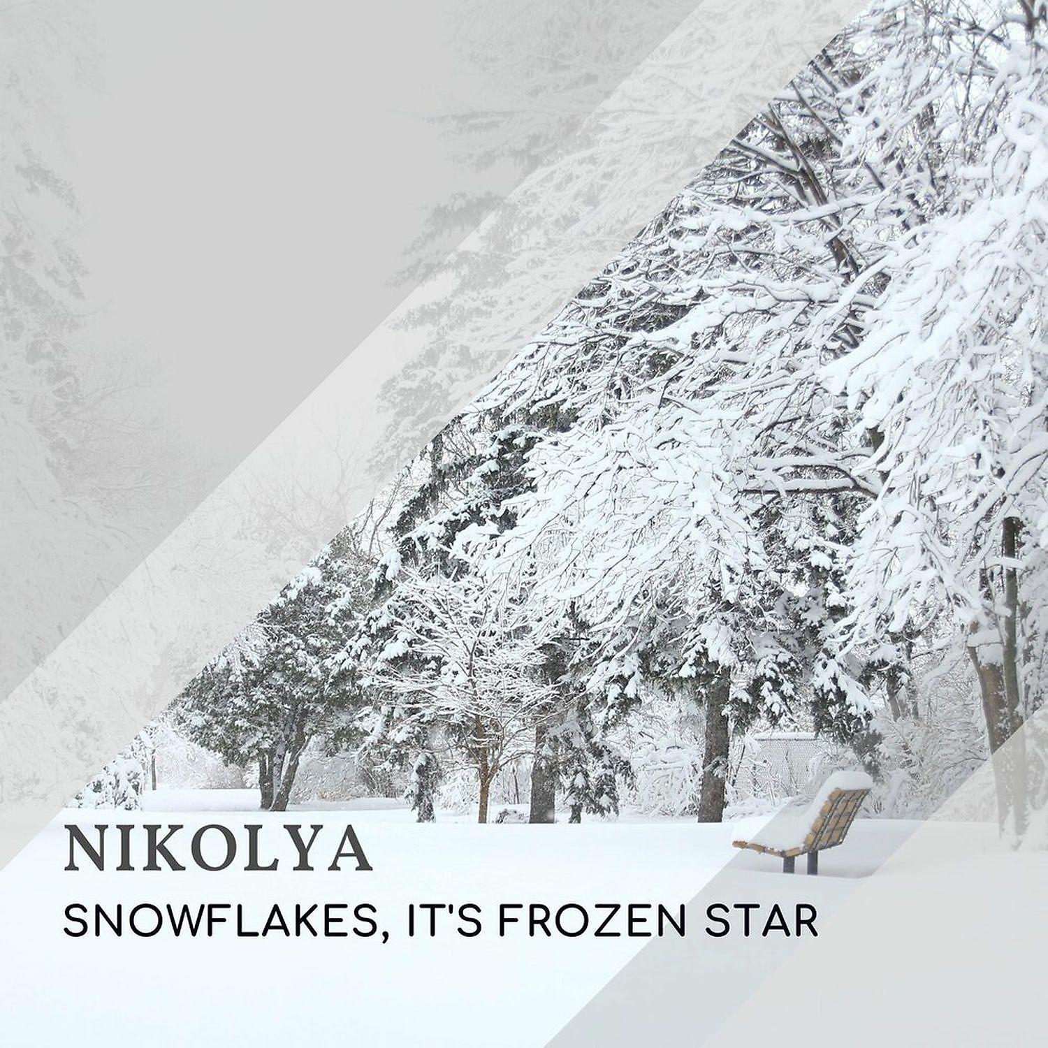 Постер альбома Snowflakes, It's Frozen Star