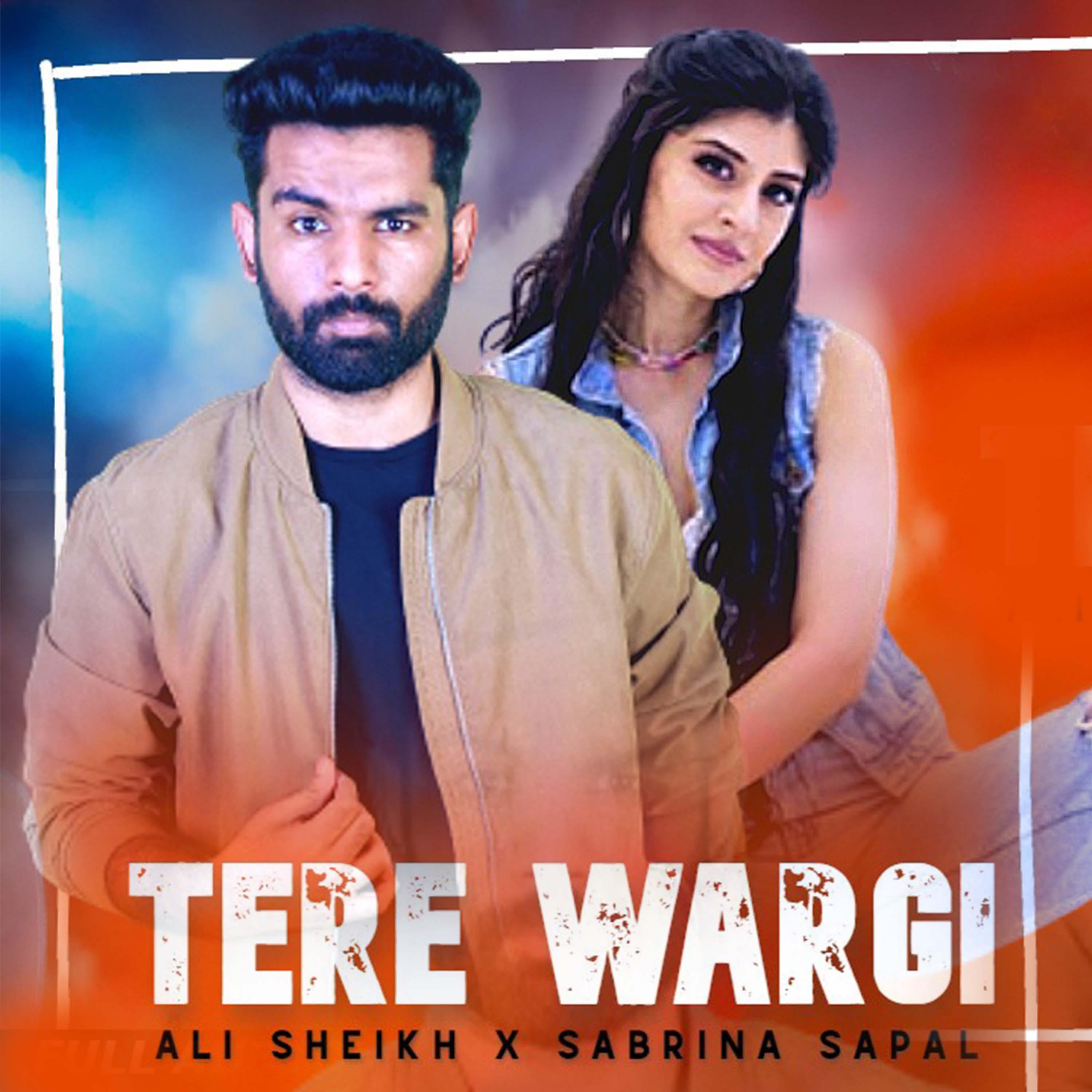 Постер альбома Tere Wargi