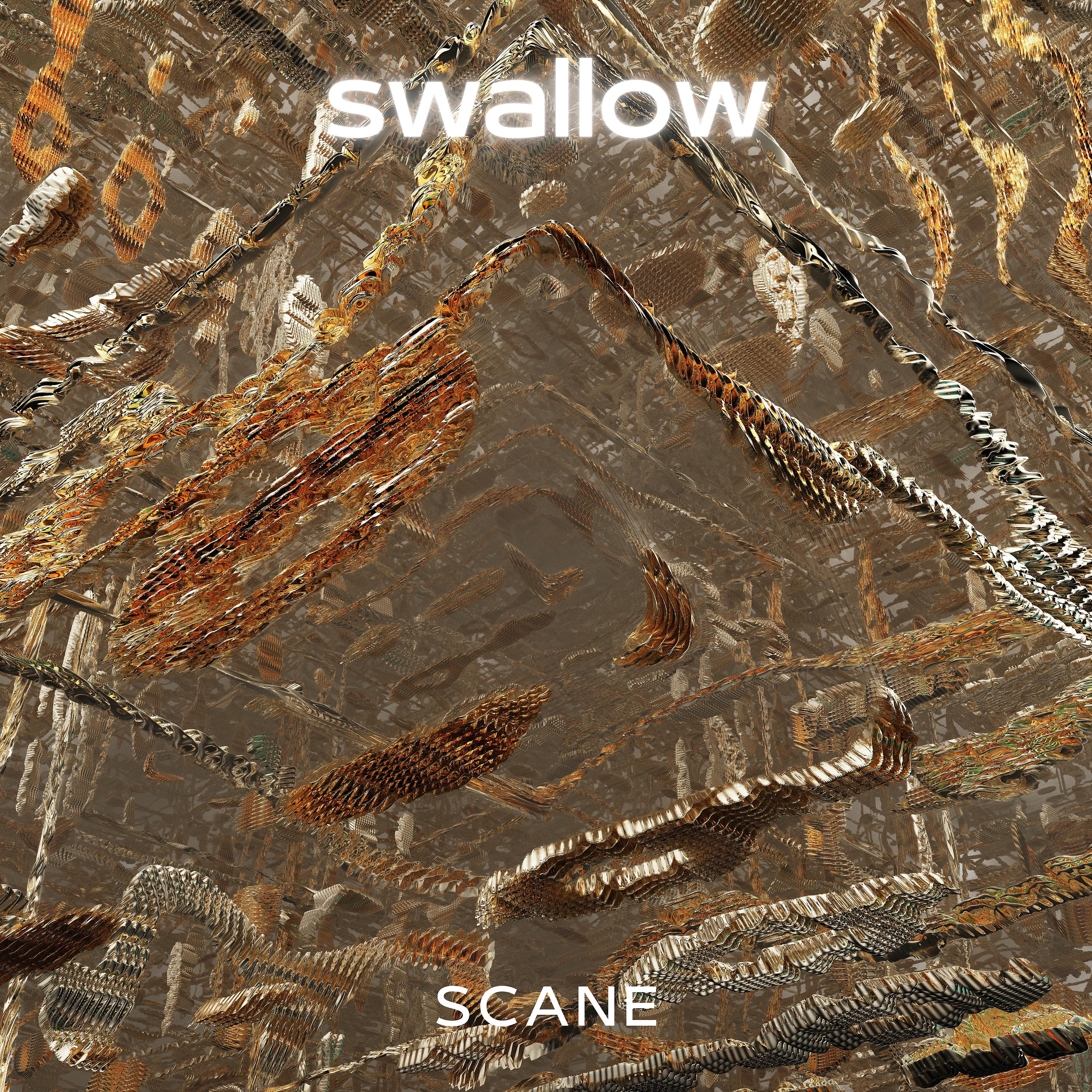 Постер альбома Swallow
