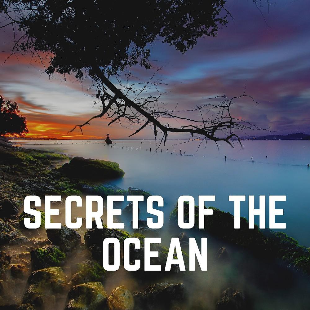 Постер альбома Secrets of the Ocean