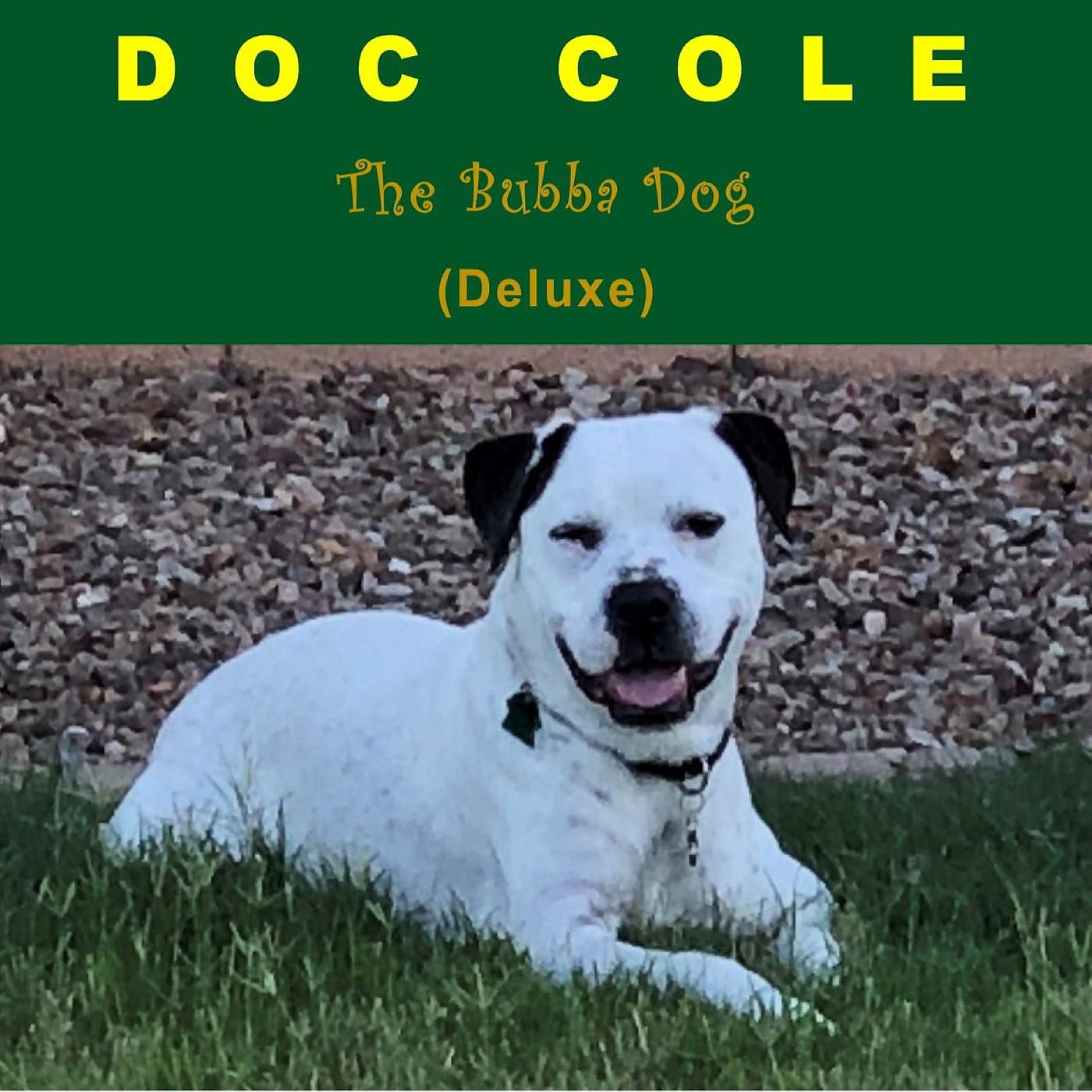 Постер альбома The Bubba Dog (Deluxe)