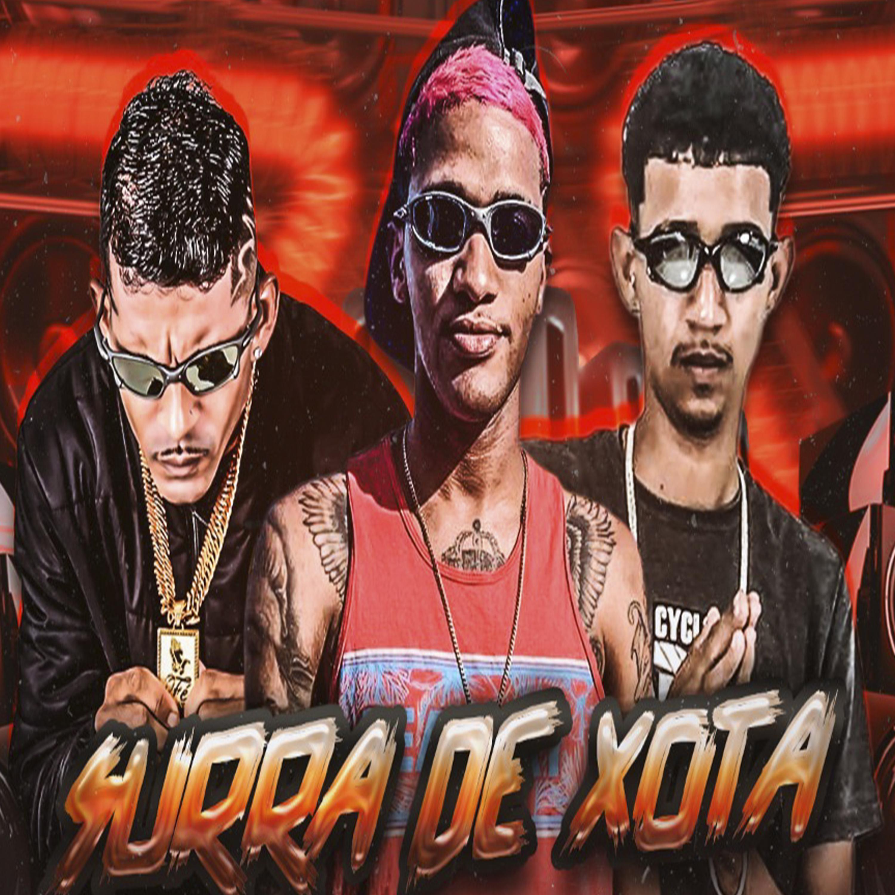 Постер альбома Surra de Xota