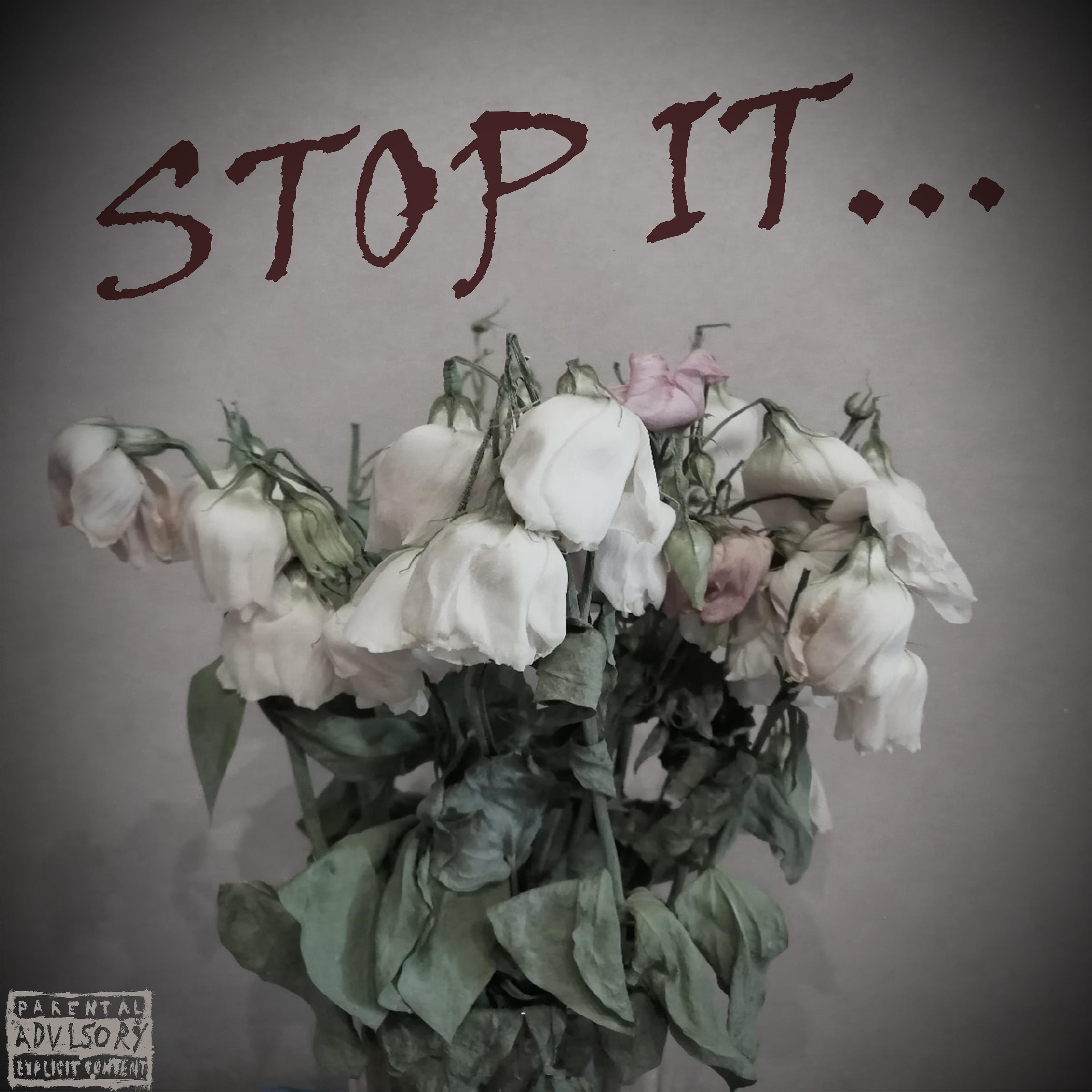 Постер альбома Stop It...