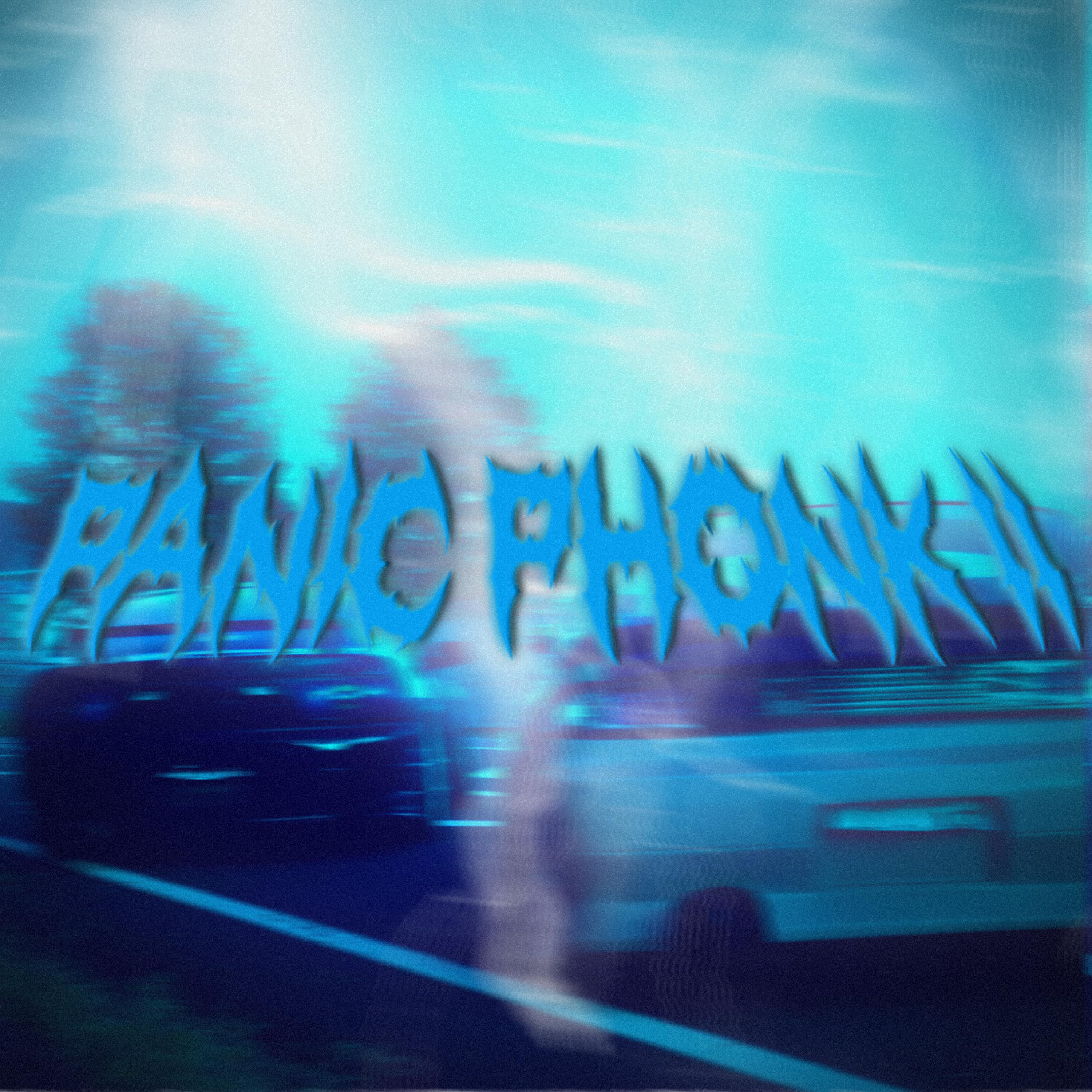 Постер альбома Panic Phonk II