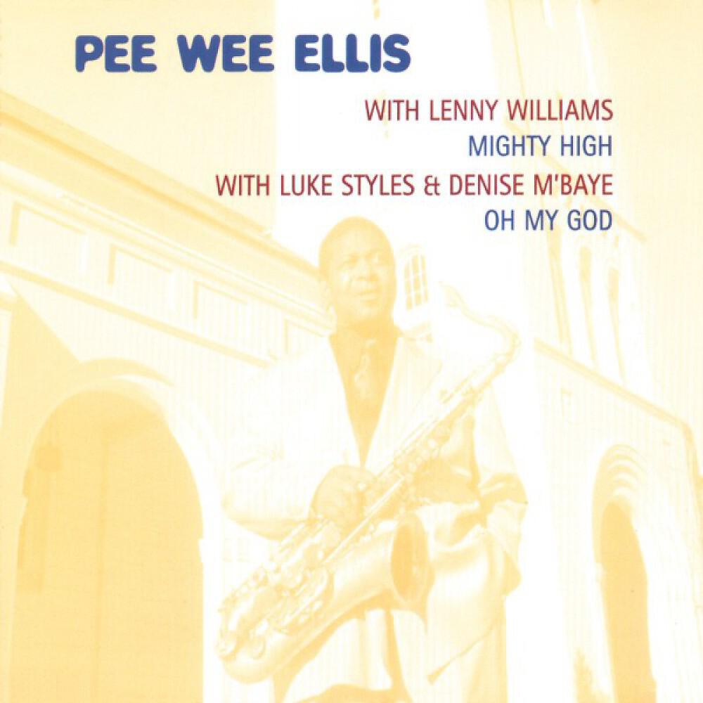 Pee Wee Ellis - Mighty High (D-Phunk Remix)