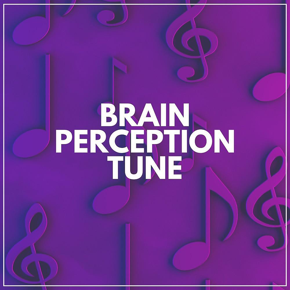 Постер альбома Brain Perception Tune