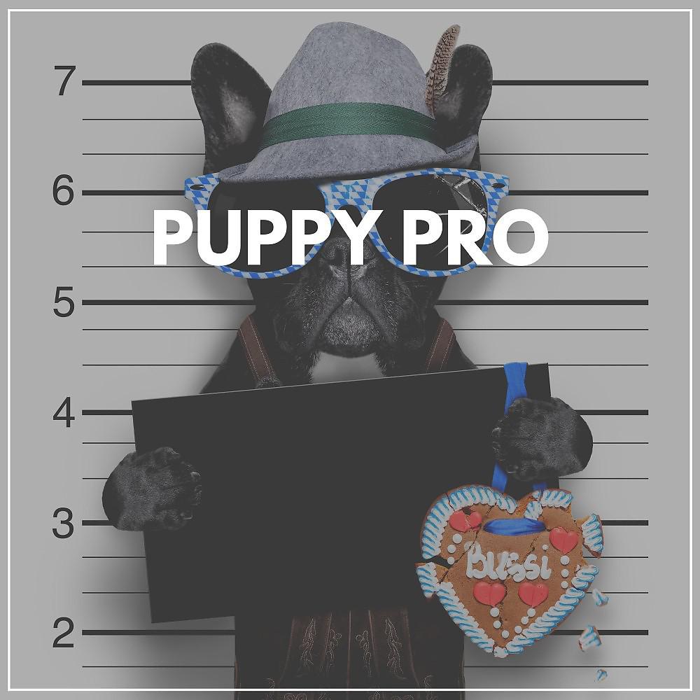 Постер альбома Puppy Pro