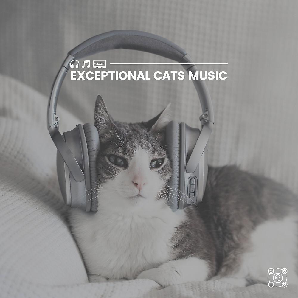 Постер альбома Exceptional Cats Music