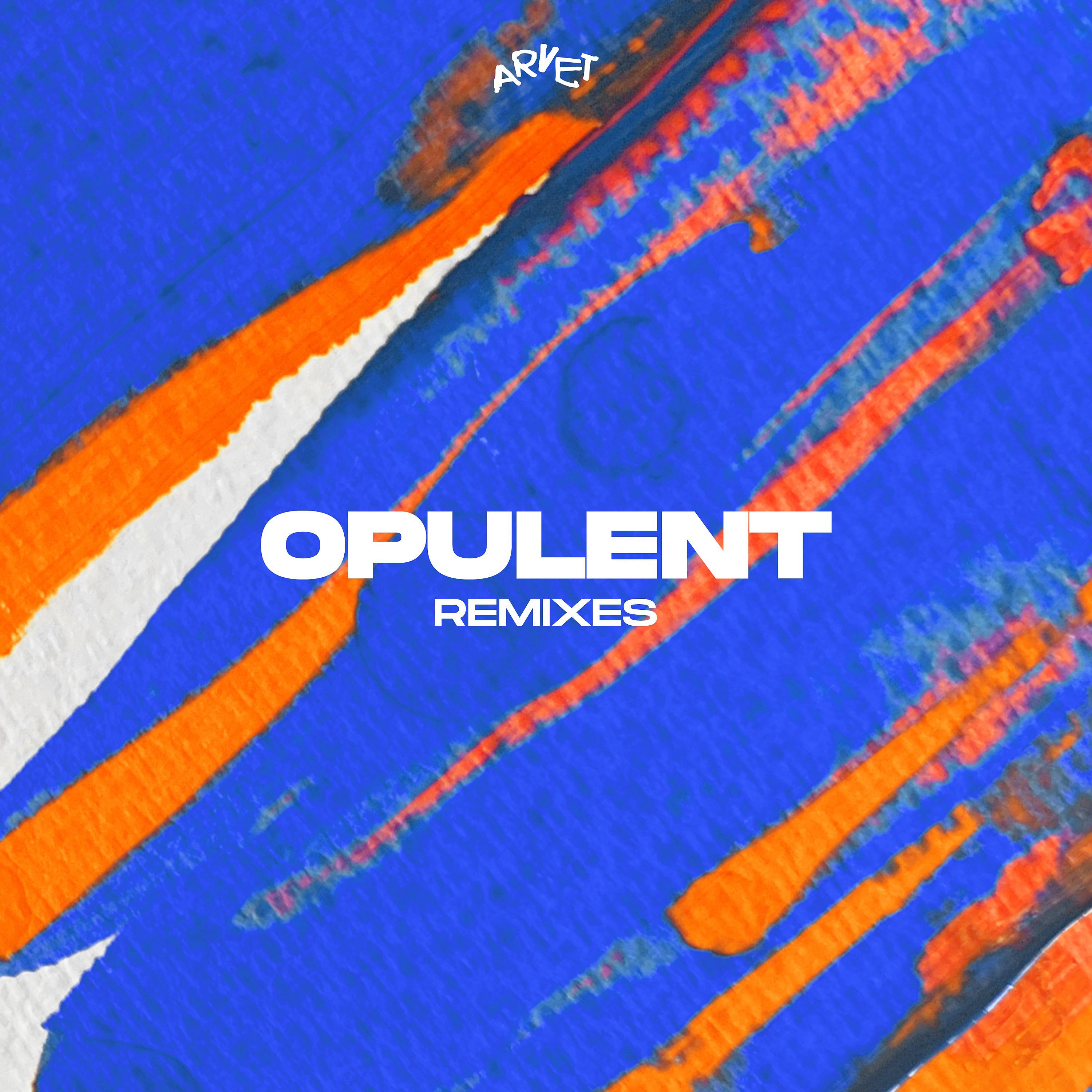 Постер альбома Opulent (Remixes)