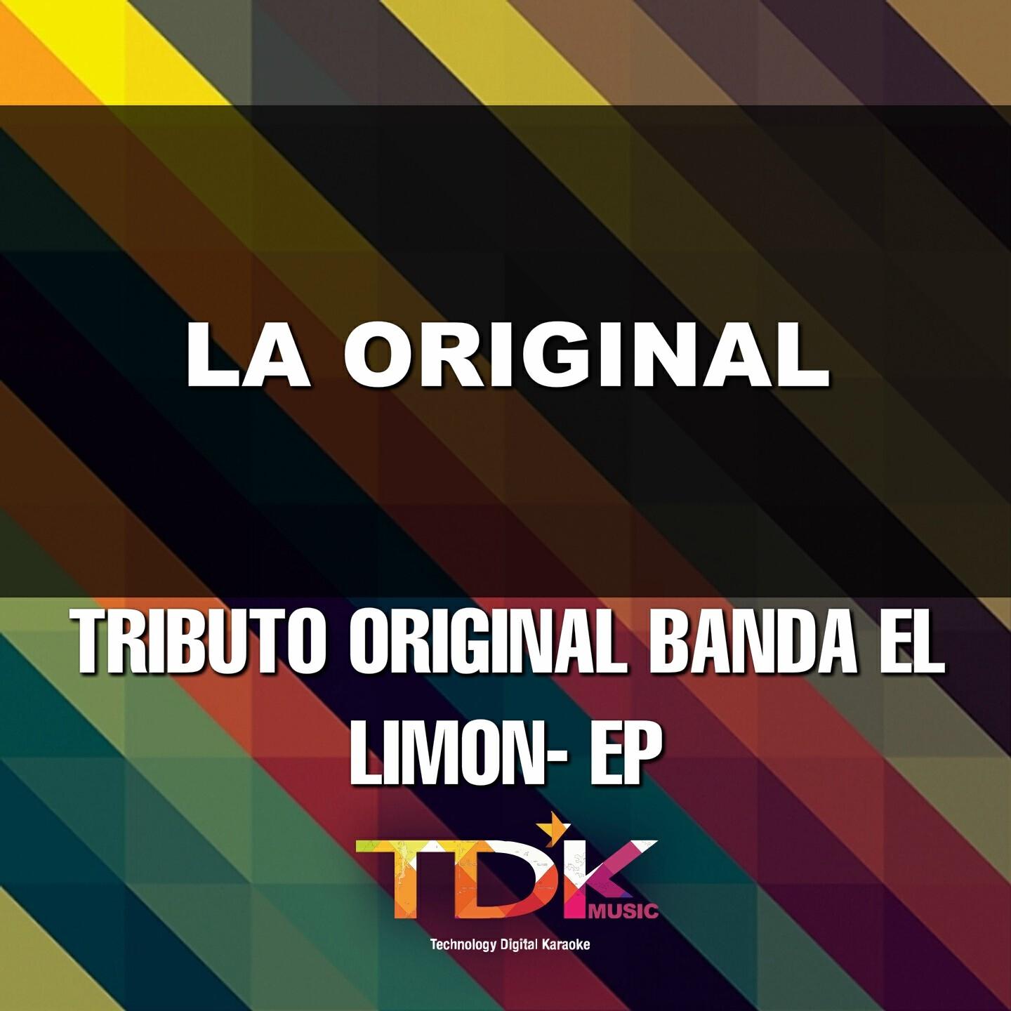 Tdk Music - La Original (Karaoke Version) [In The Style Of Original Banda El Limon]