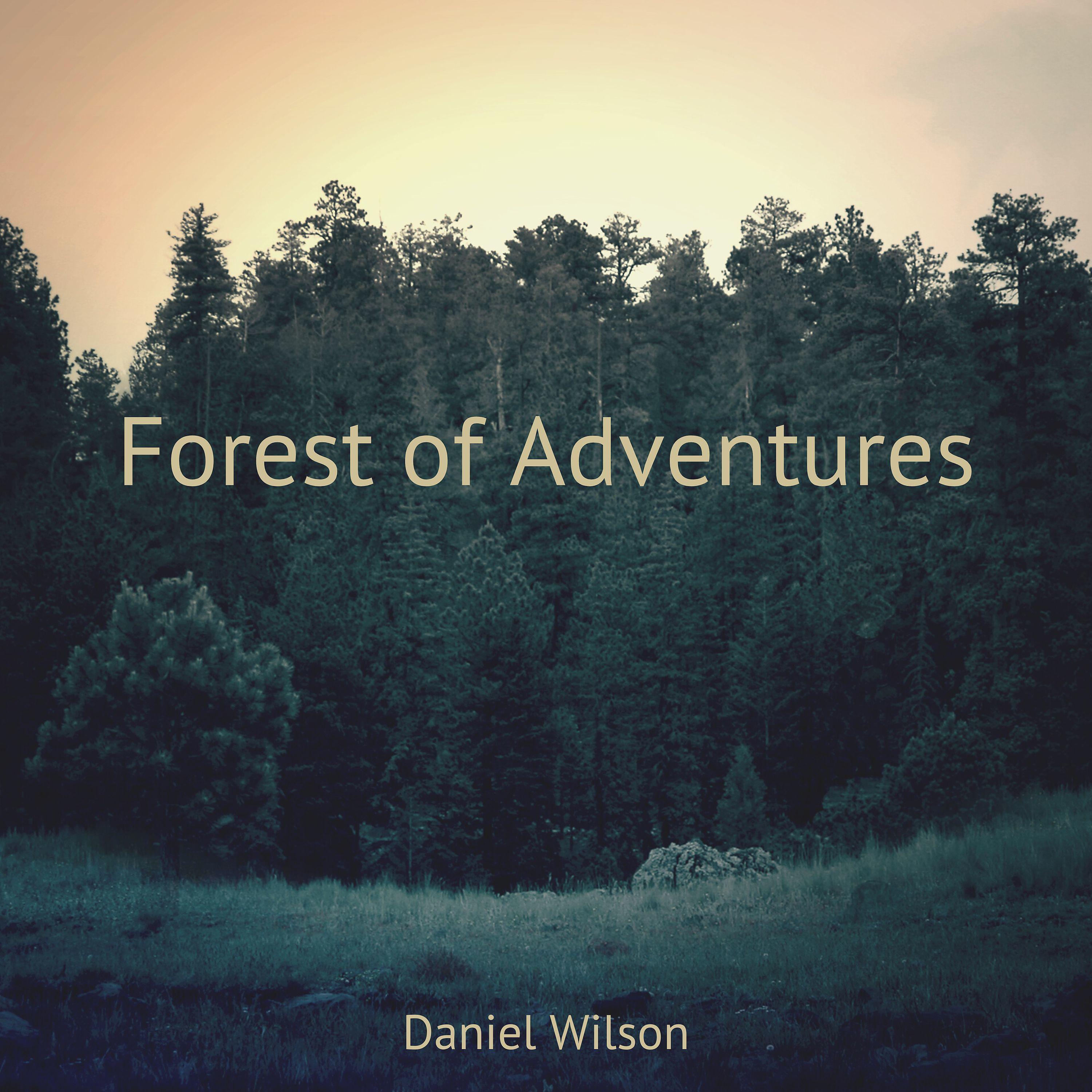 Постер альбома Forest of Adventures