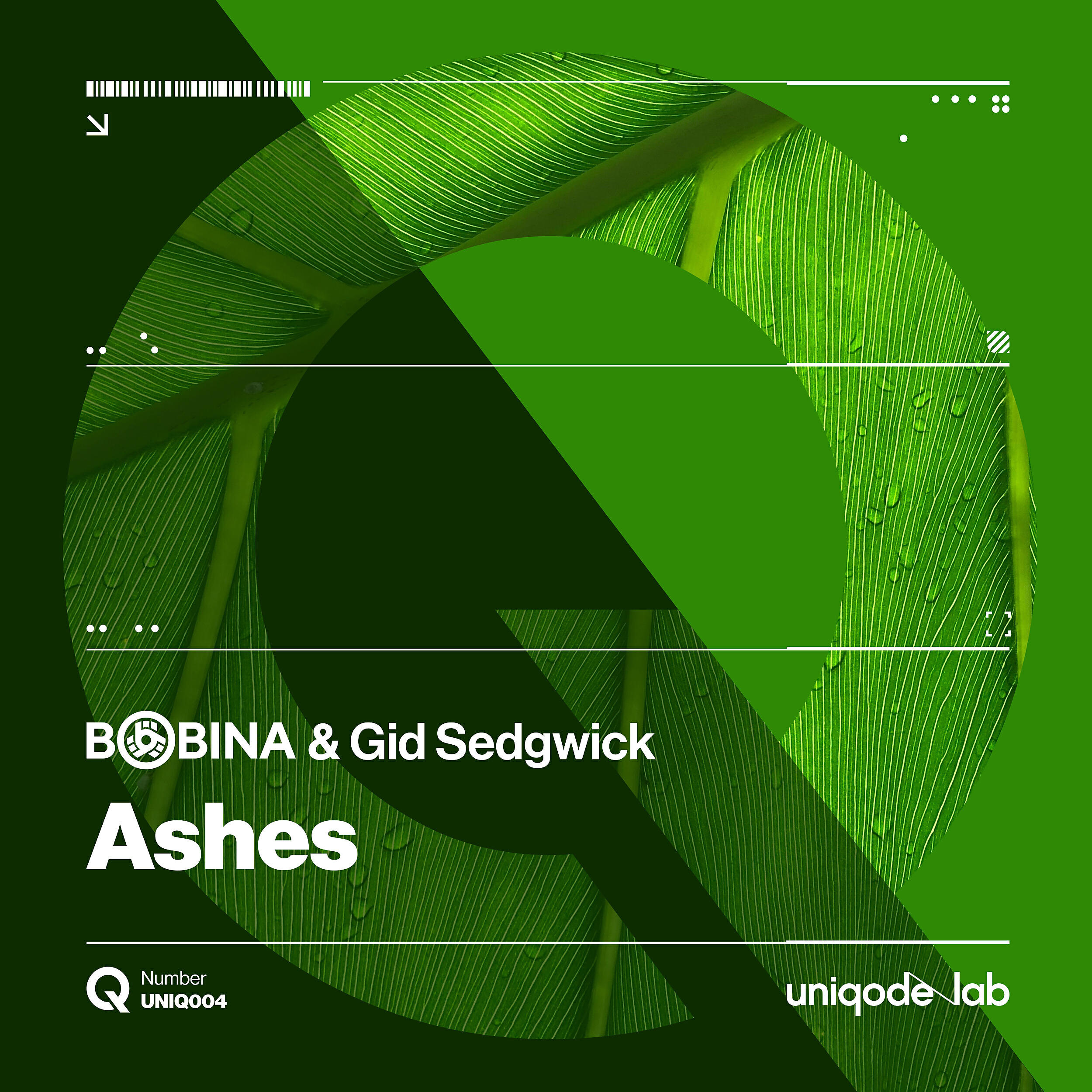 Постер альбома Ashes