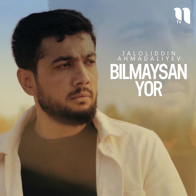 Постер альбома Bilmaysan yor