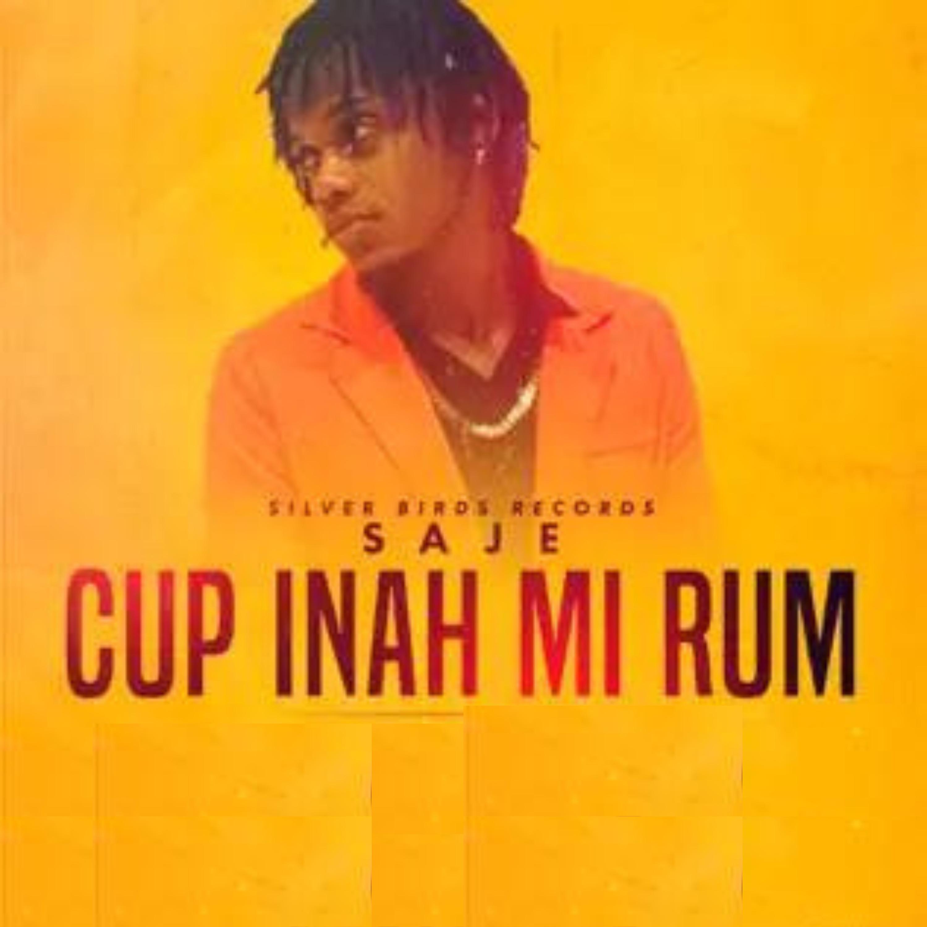Постер альбома Cup Inah Mi Rum