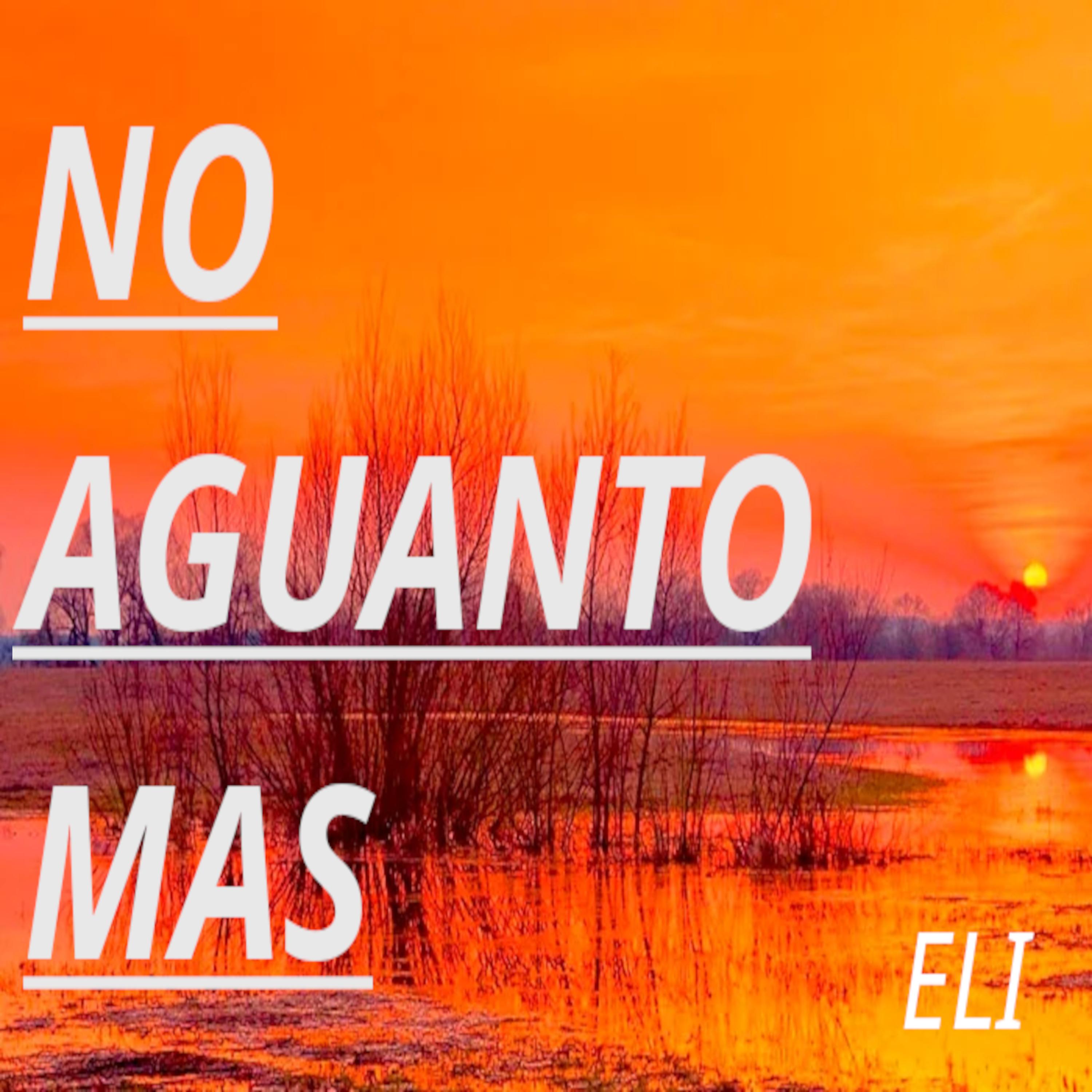 Постер альбома No Aguanto Mas