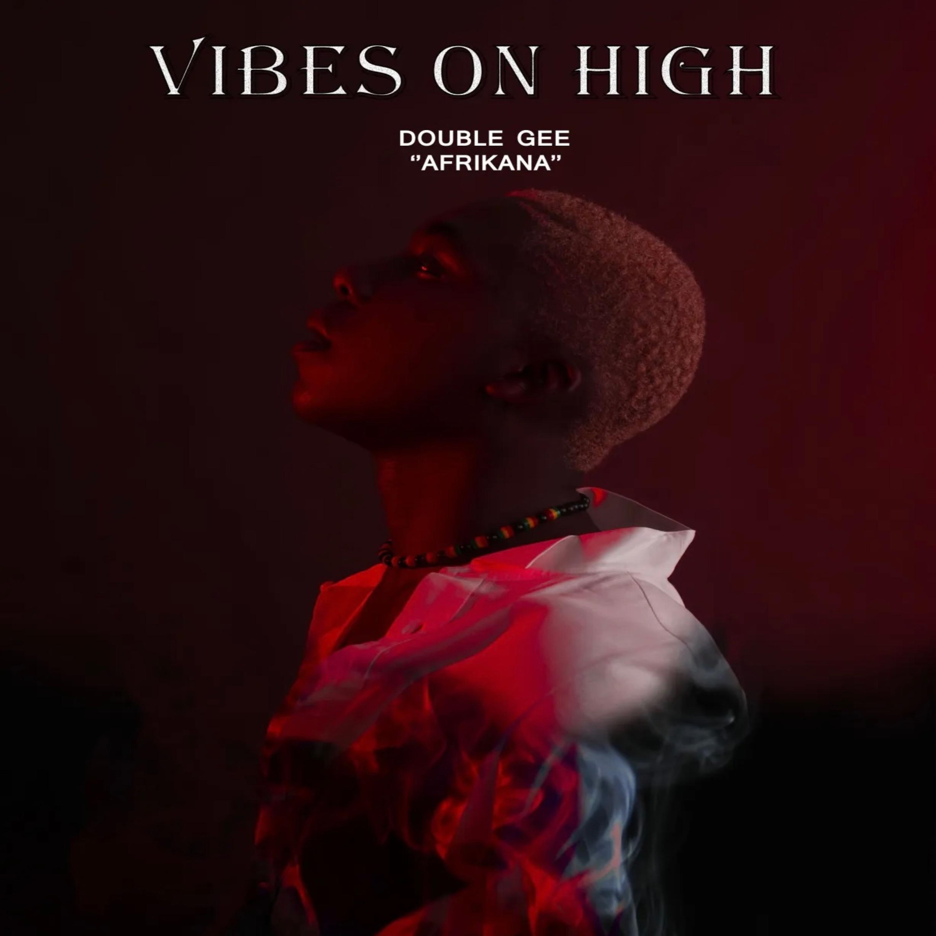 Постер альбома Vibes on High