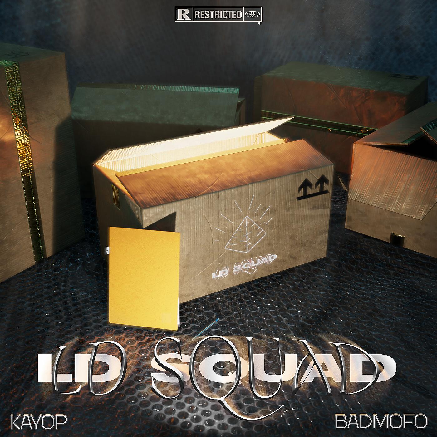 Постер альбома LD Squad