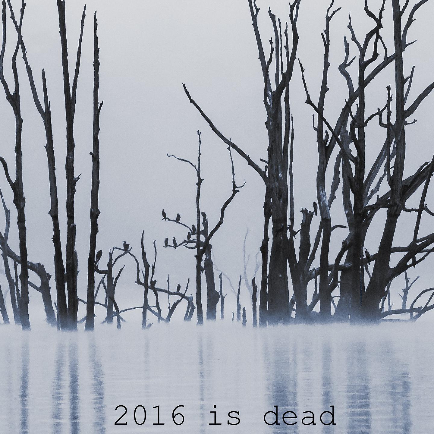 Постер альбома 2016 is Dead