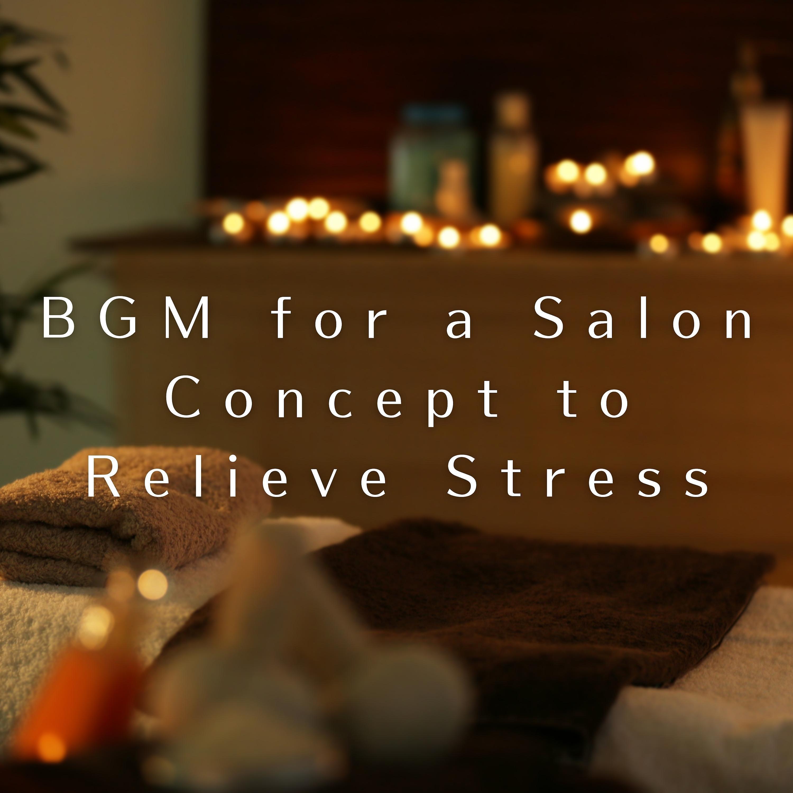 Постер альбома BGM for a Salon Concept to Relieve Stress