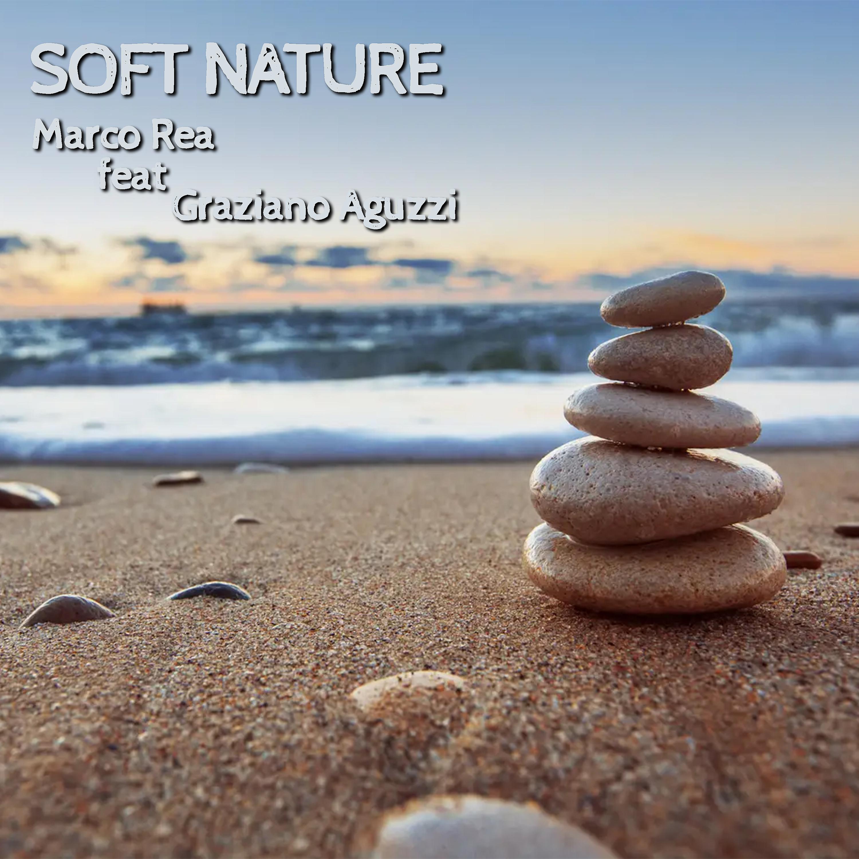 Постер альбома Soft Nature