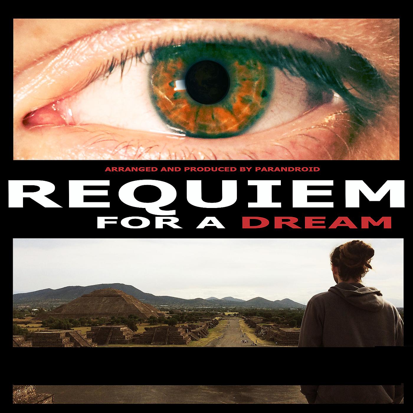 Постер альбома Requiem for a Dream