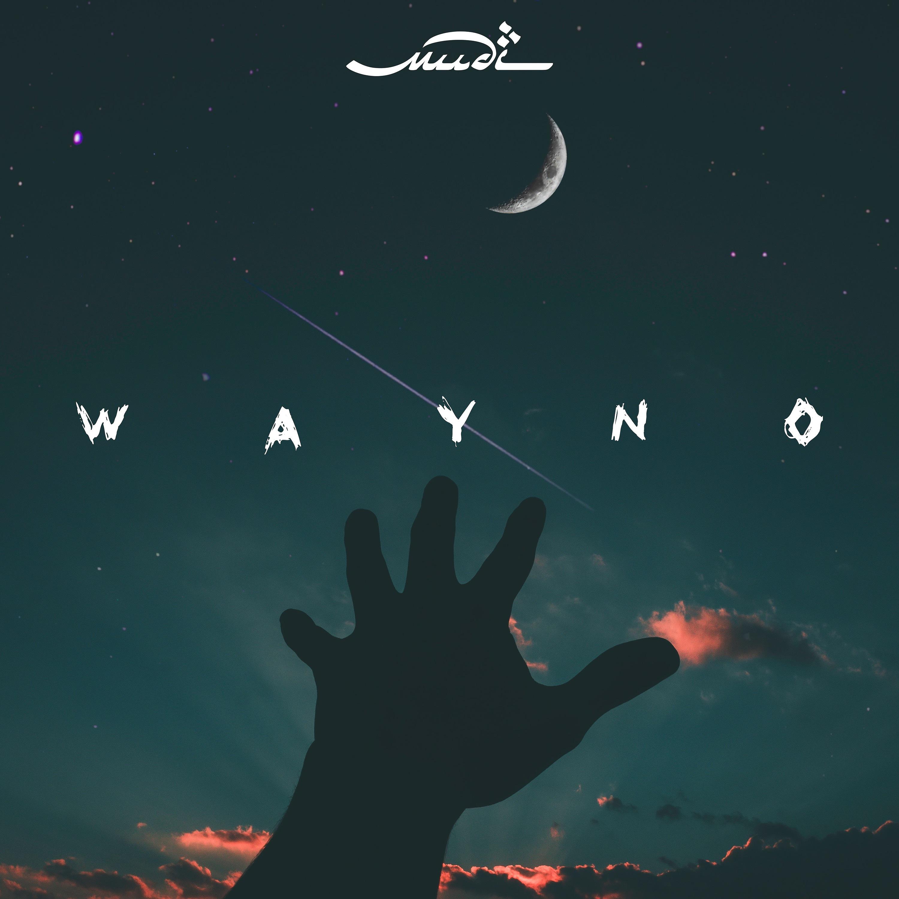 Постер альбома Wayno
