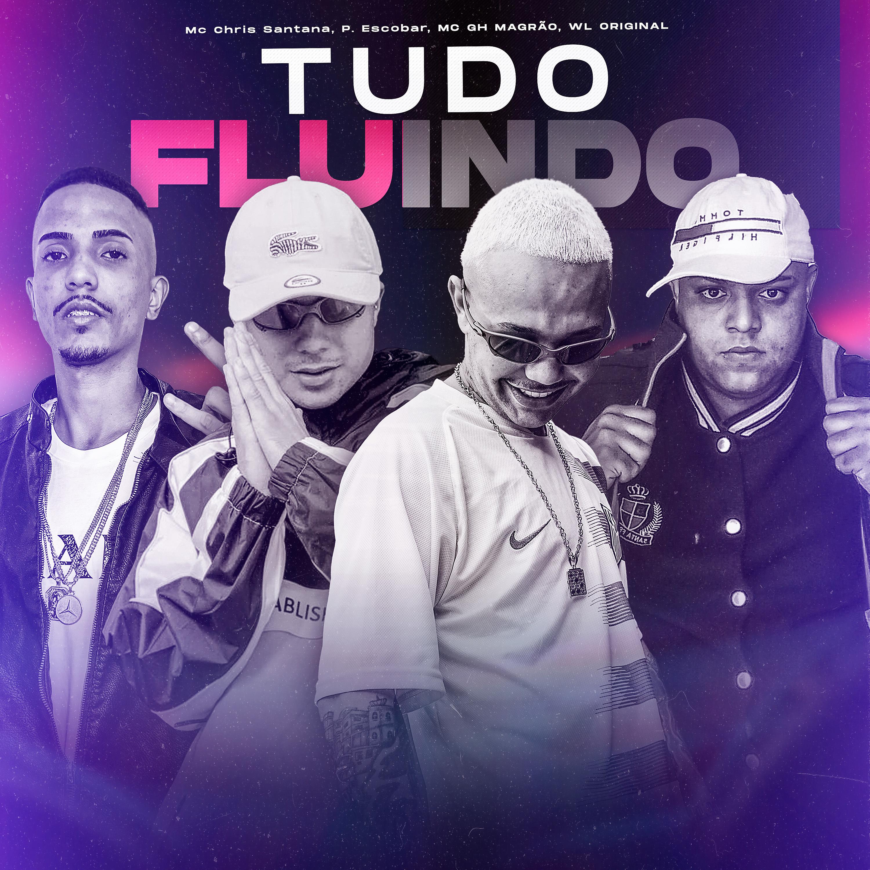 Постер альбома Tudo Fluindo