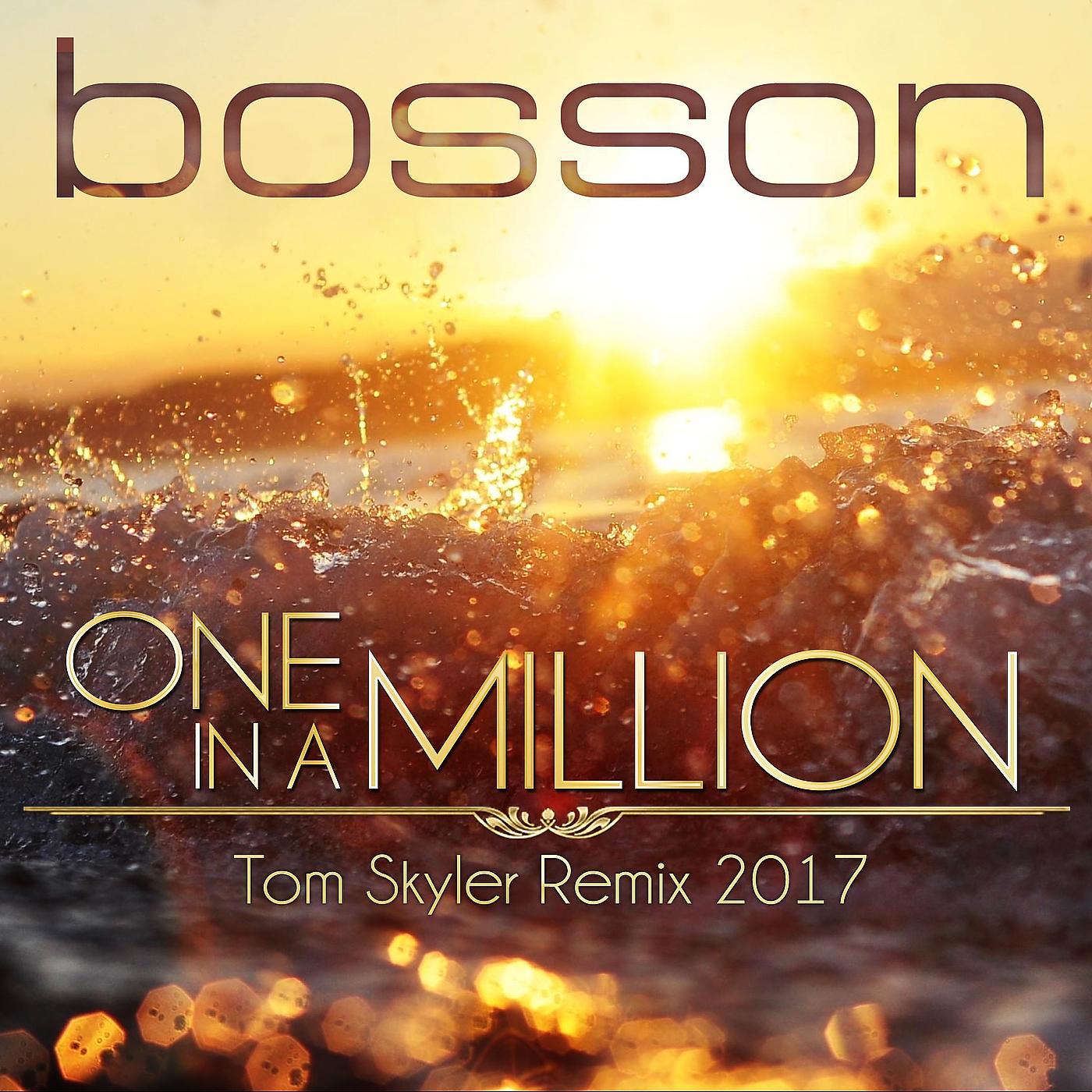 Постер альбома One in a Million (Tom Skyler Remix 2017)