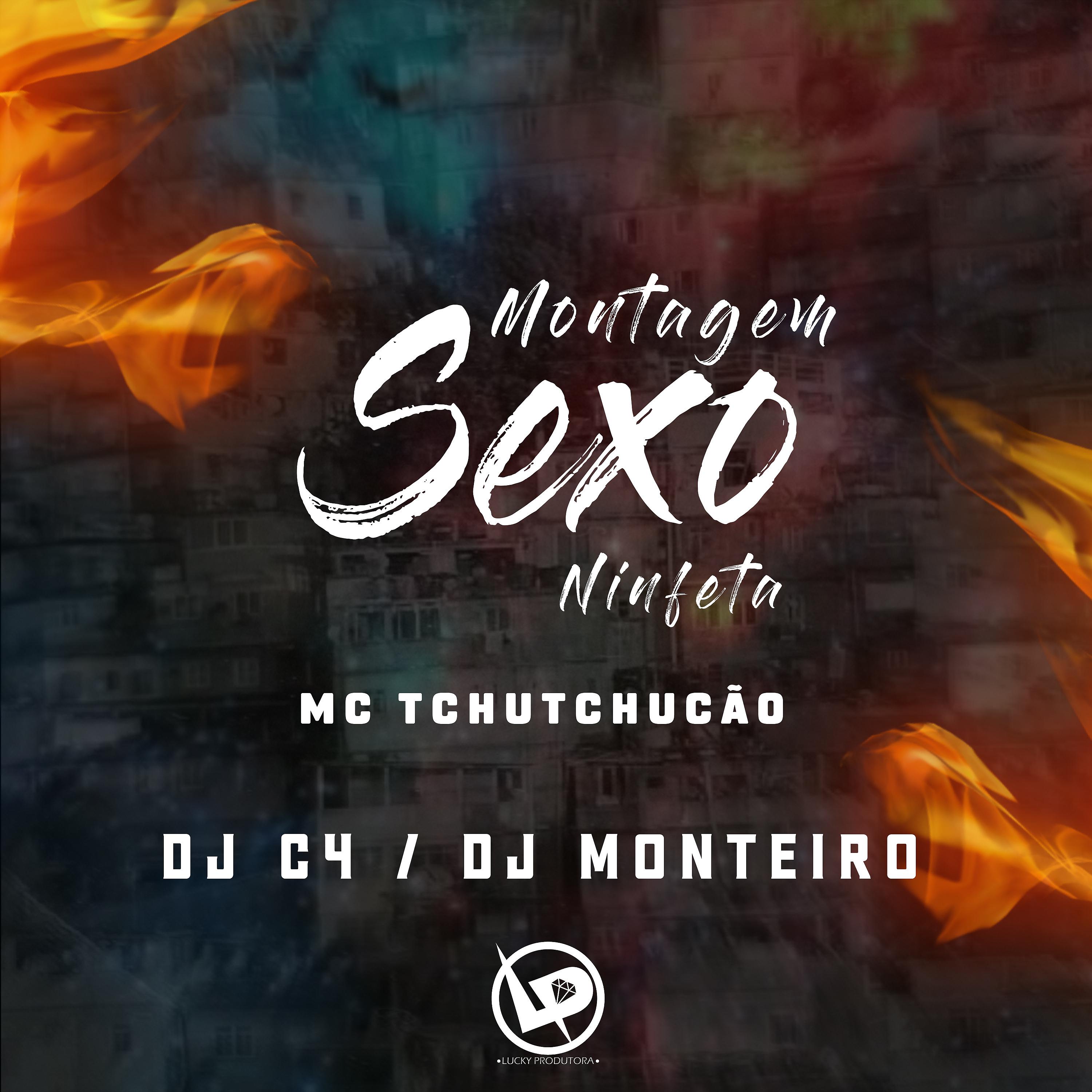 Постер альбома Montagem - Sexo Ninfeta