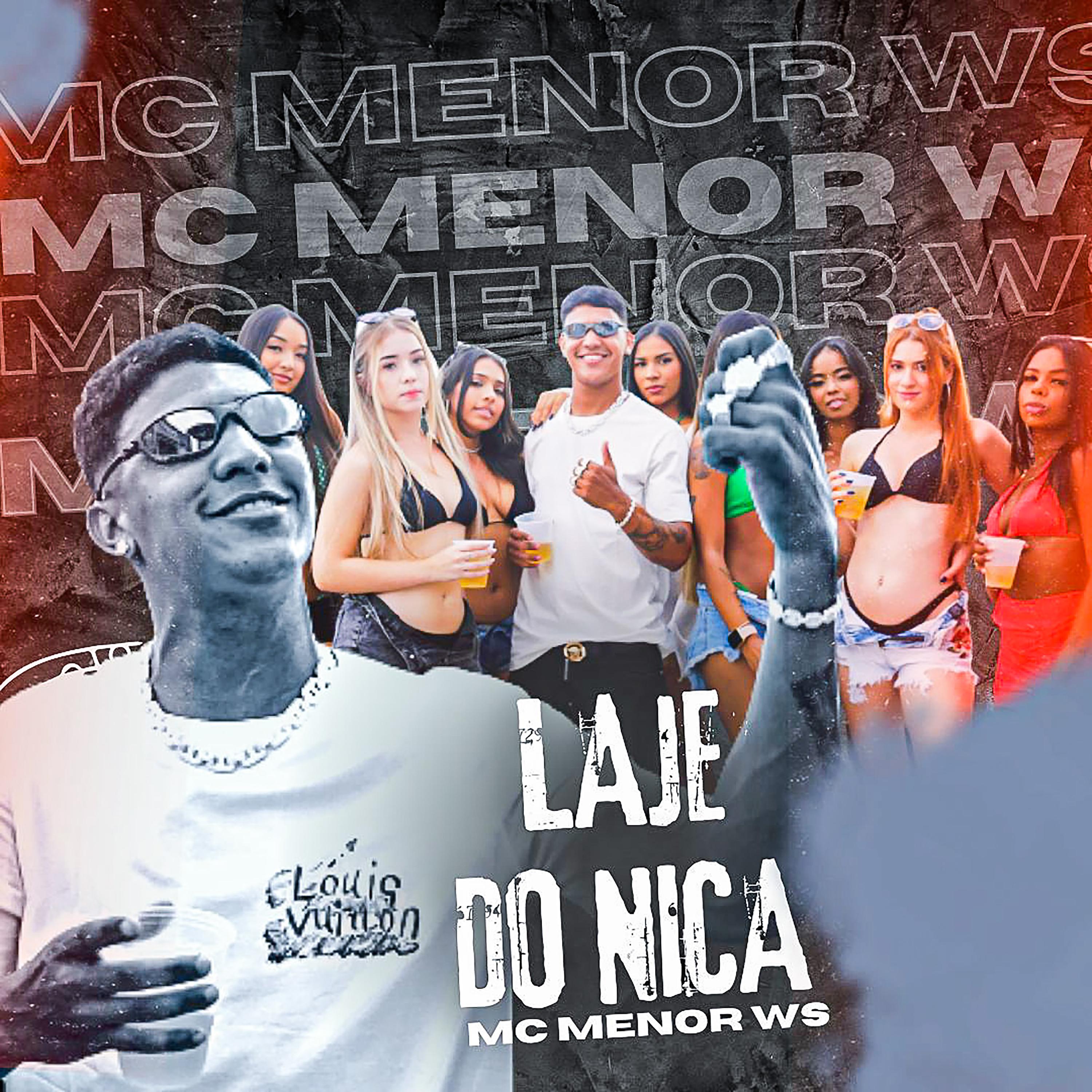 Постер альбома Laje do Nica