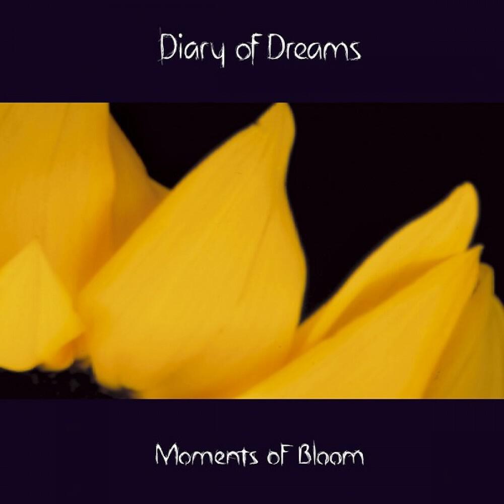 Diary of Dreams - False Affection, False Creation III (New Version)