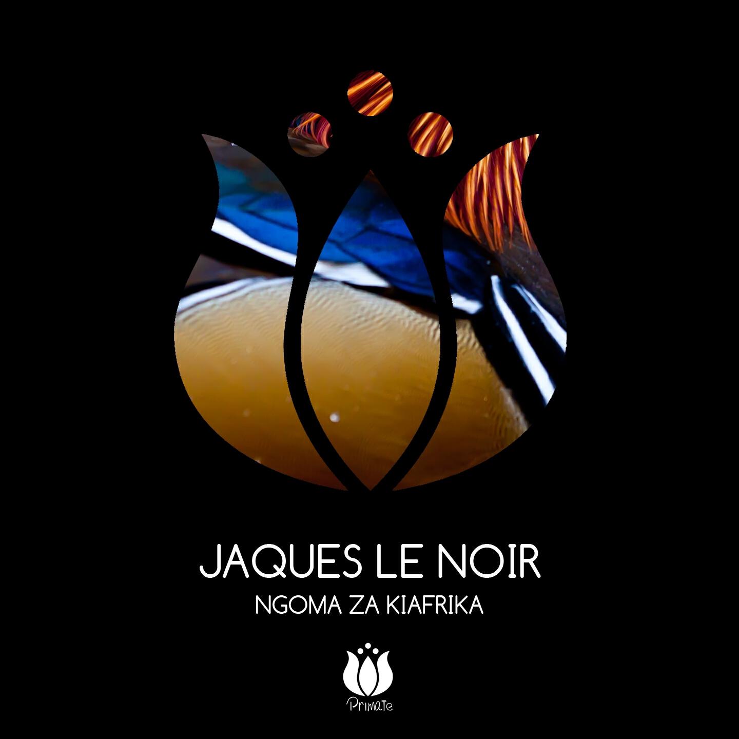 Jaques Le Noir - Ngoma Za Kiafrika