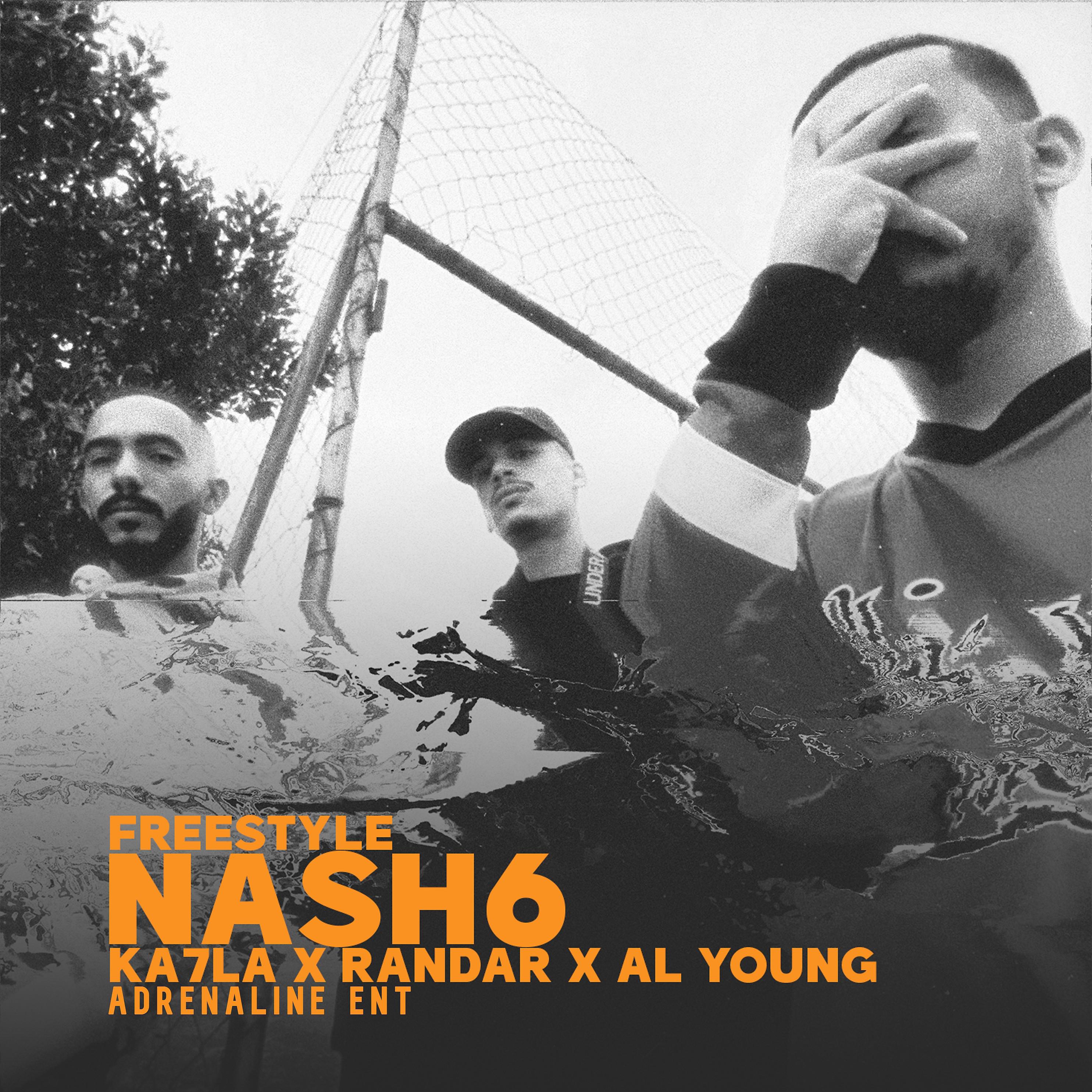 Постер альбома NASH6