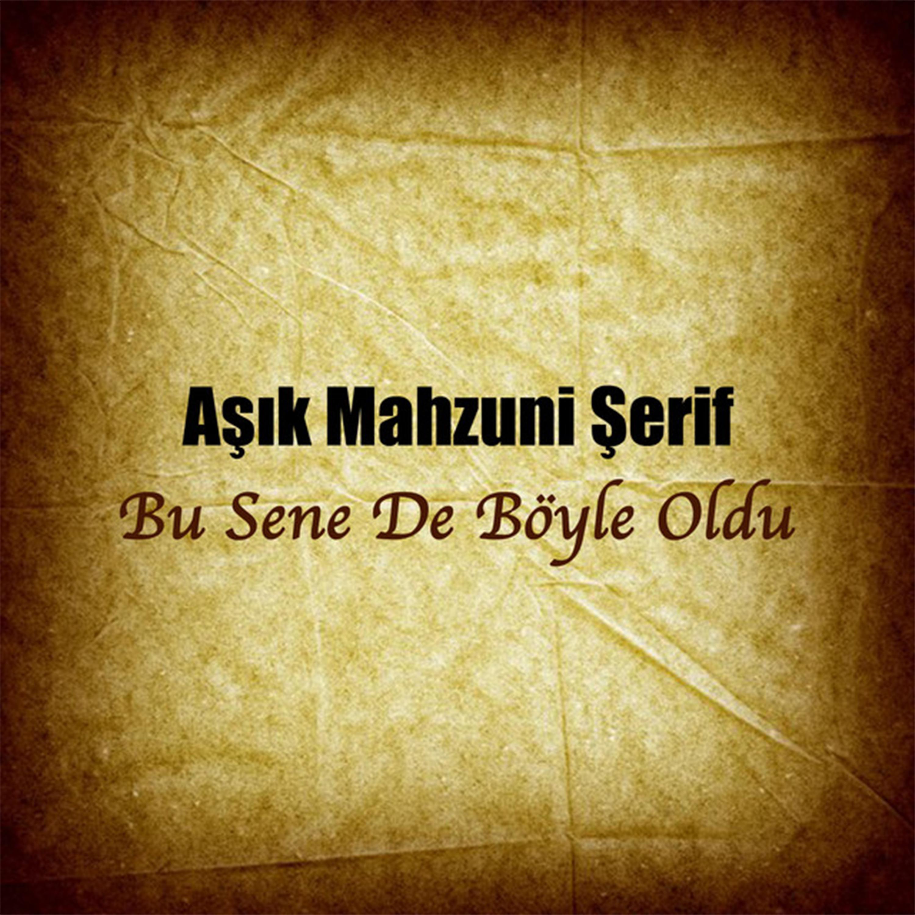 Постер альбома Bu Sene de Böyle Oldu