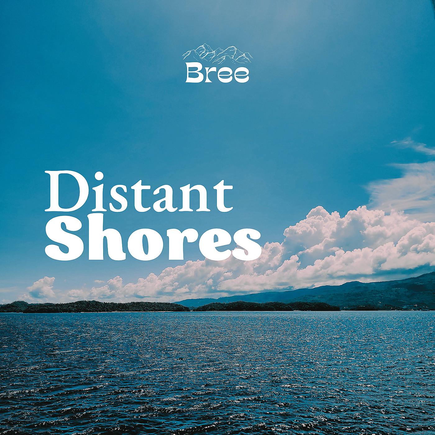 Постер альбома Distant Shores