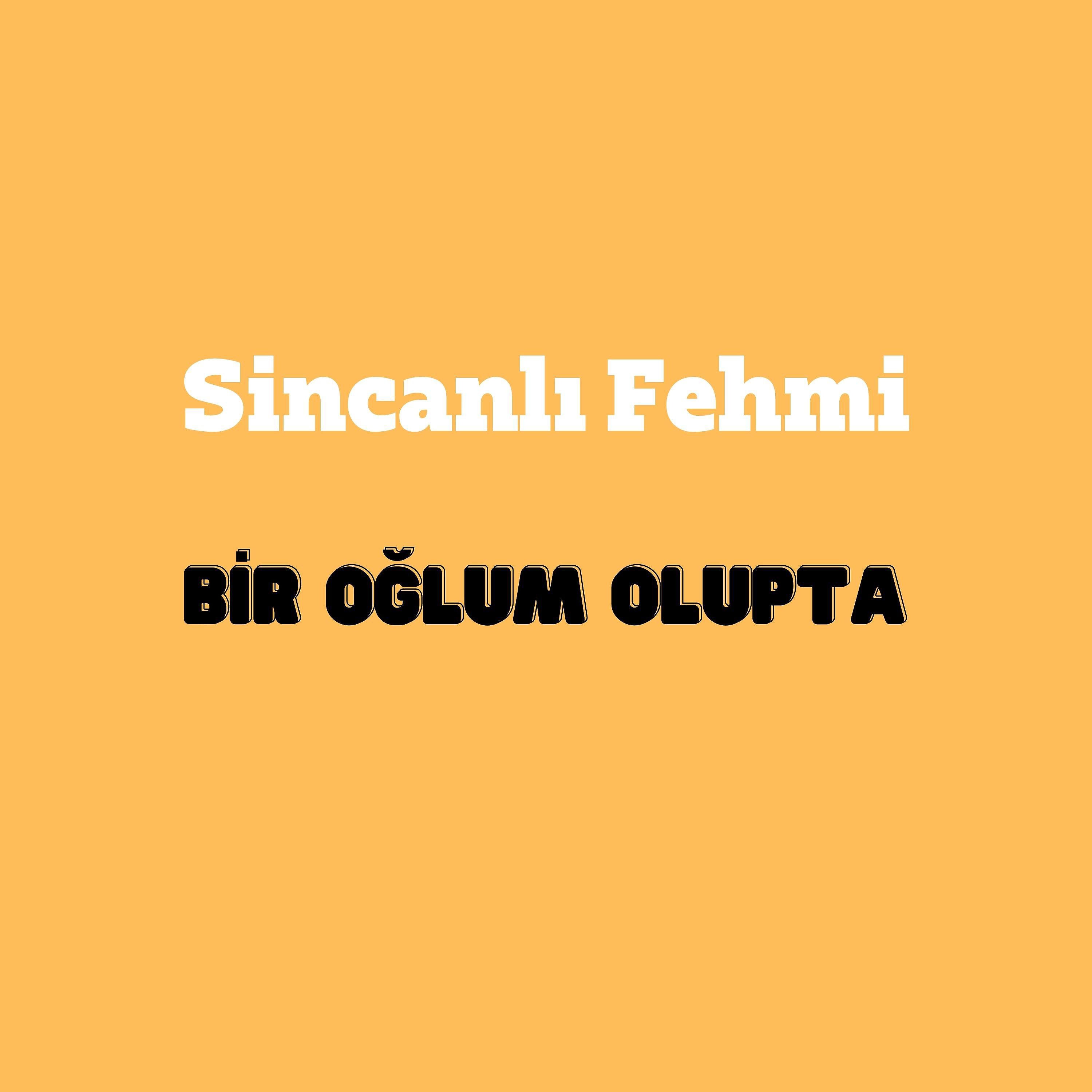 Постер альбома Bir Oğlum Olupta