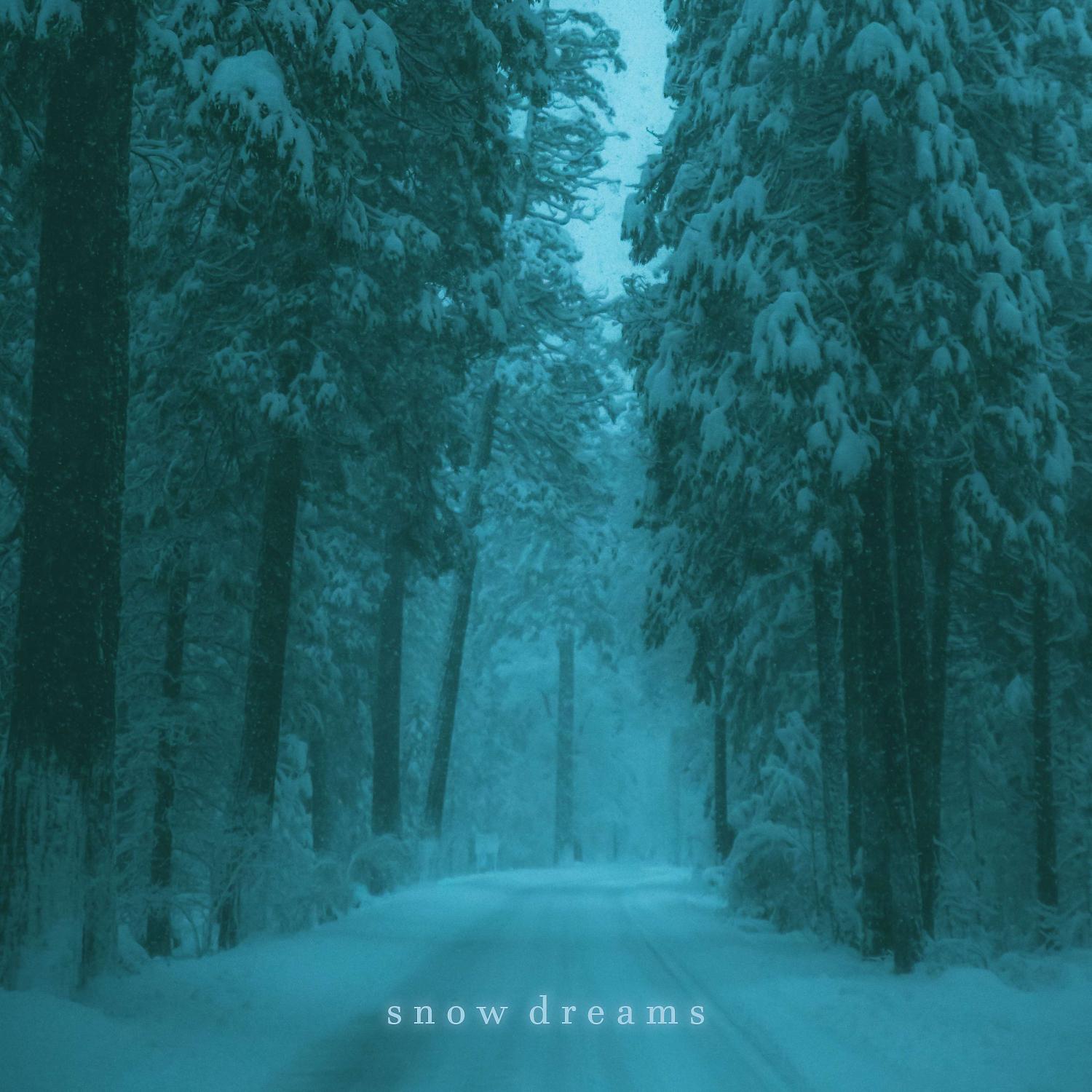 Постер альбома snow dreams