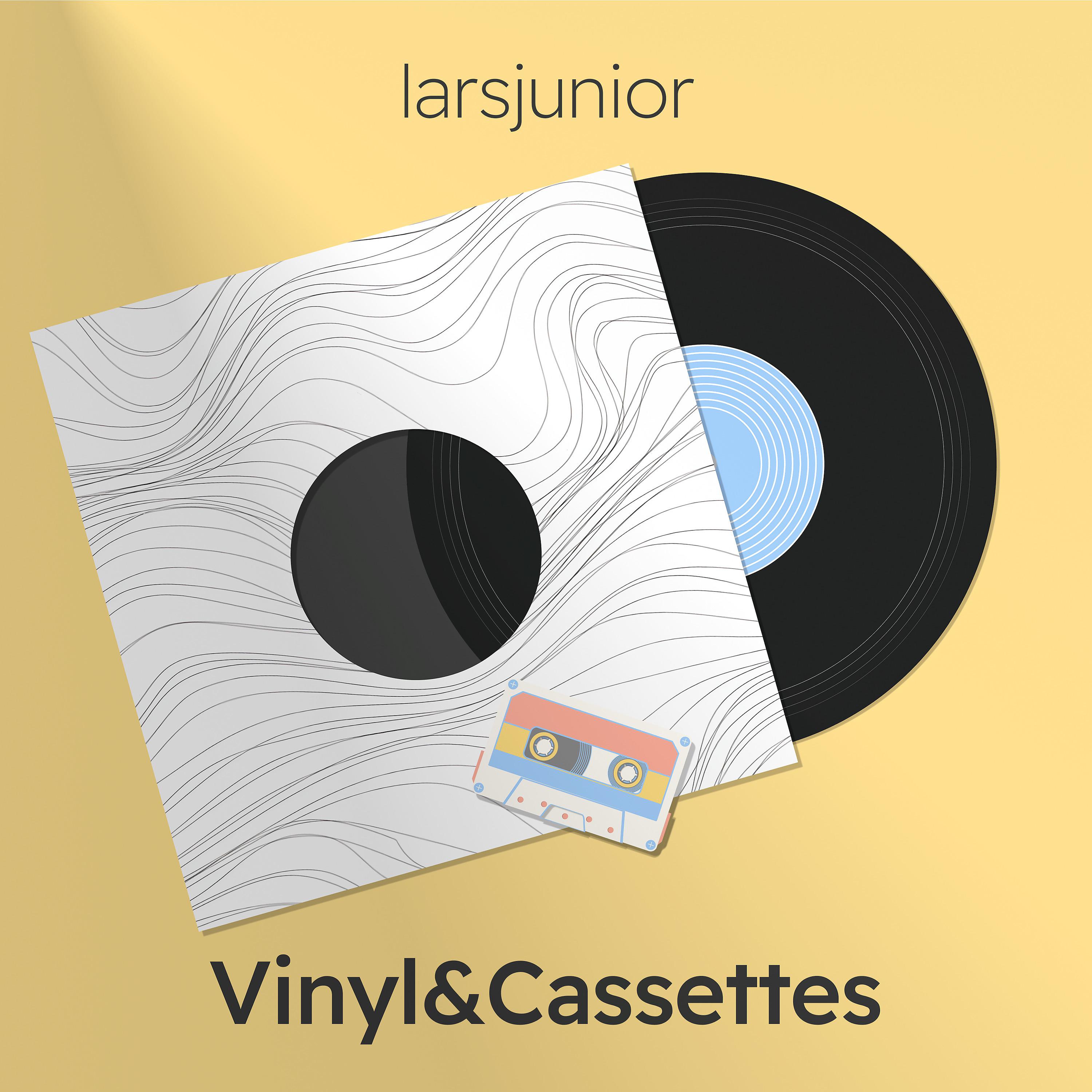 Постер альбома Vinyl&Cassettes