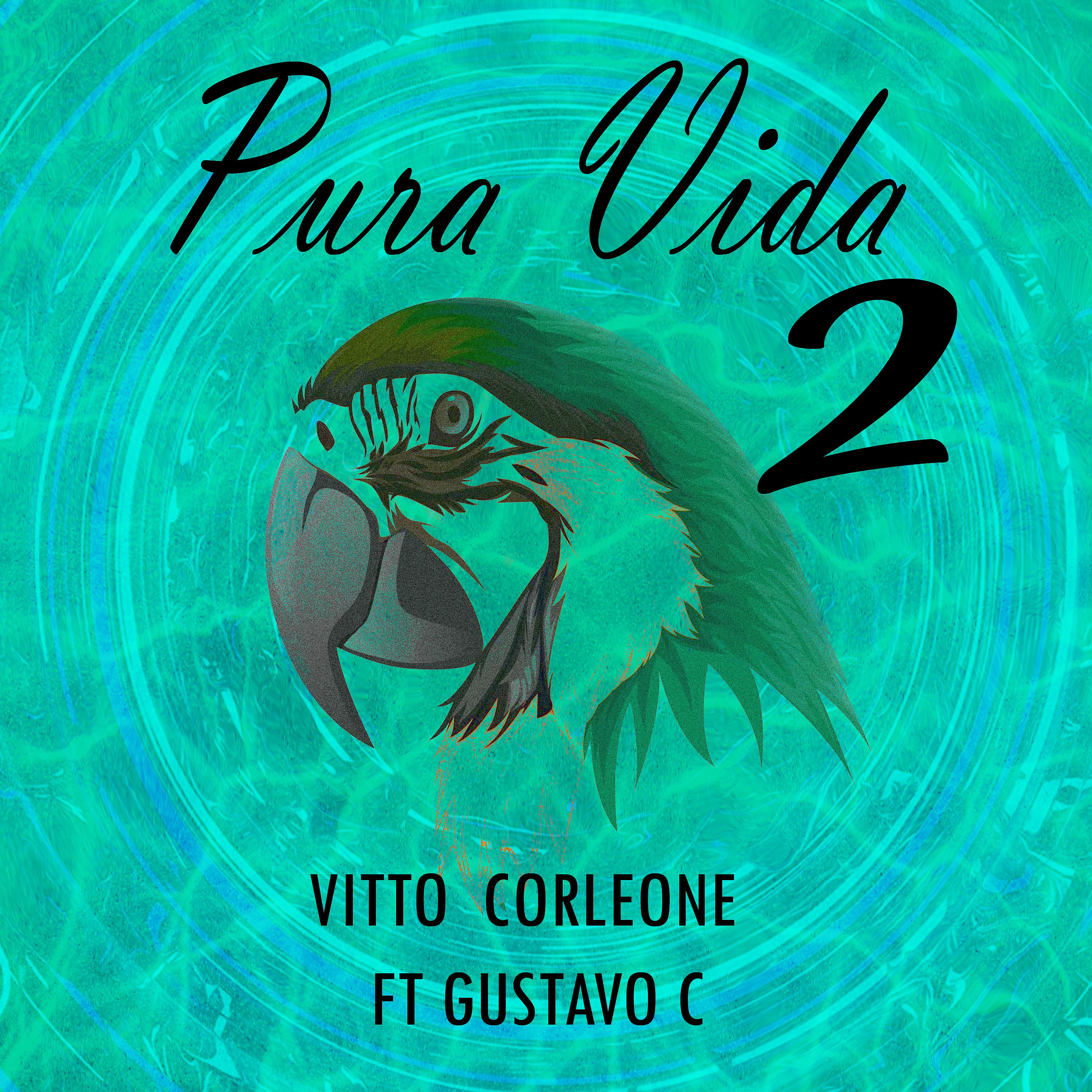 Постер альбома Pura Vida 2
