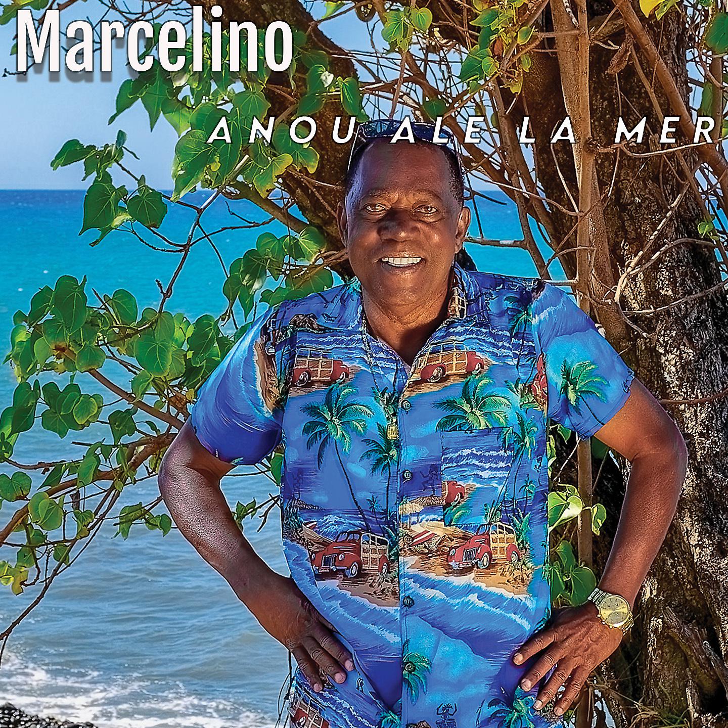 Постер альбома Anou ale la mer