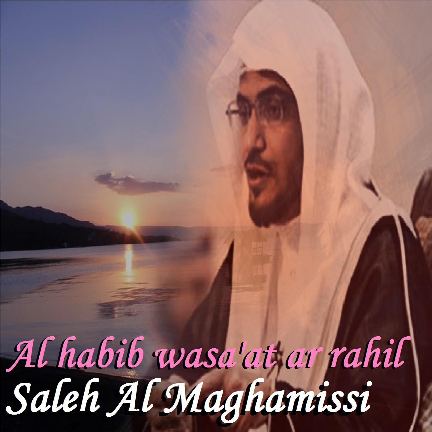 Постер альбома Al Habib Wasa'At Ar Rahil