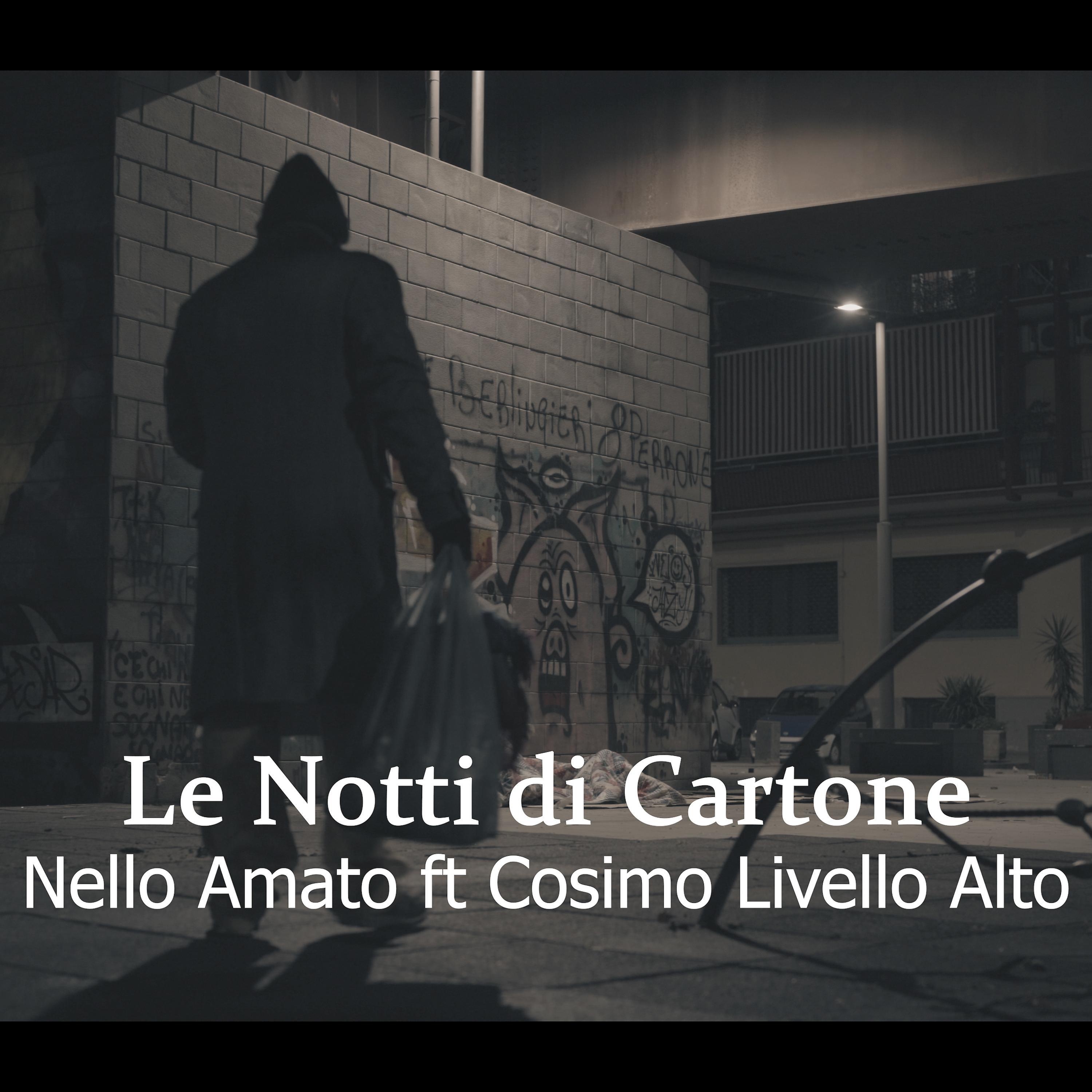Постер альбома Le notti di cartone