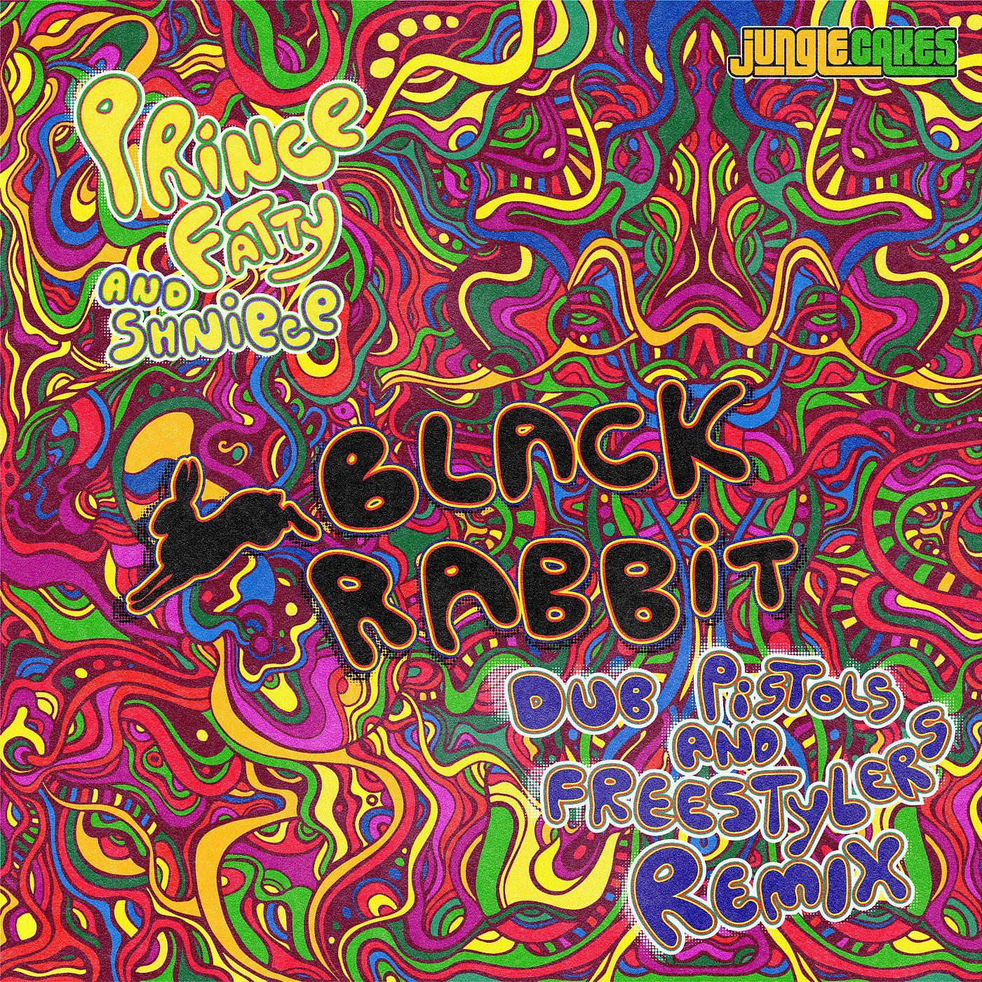Постер альбома Black Rabbit (Dub Pistols & Freestylers Remix)