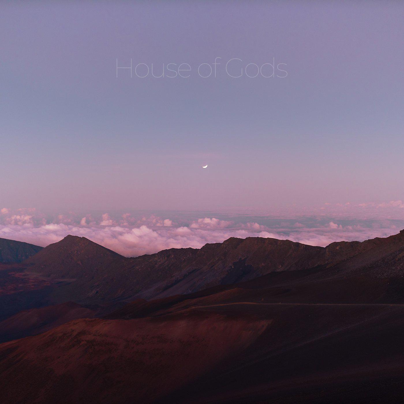 Постер альбома House of Gods EP