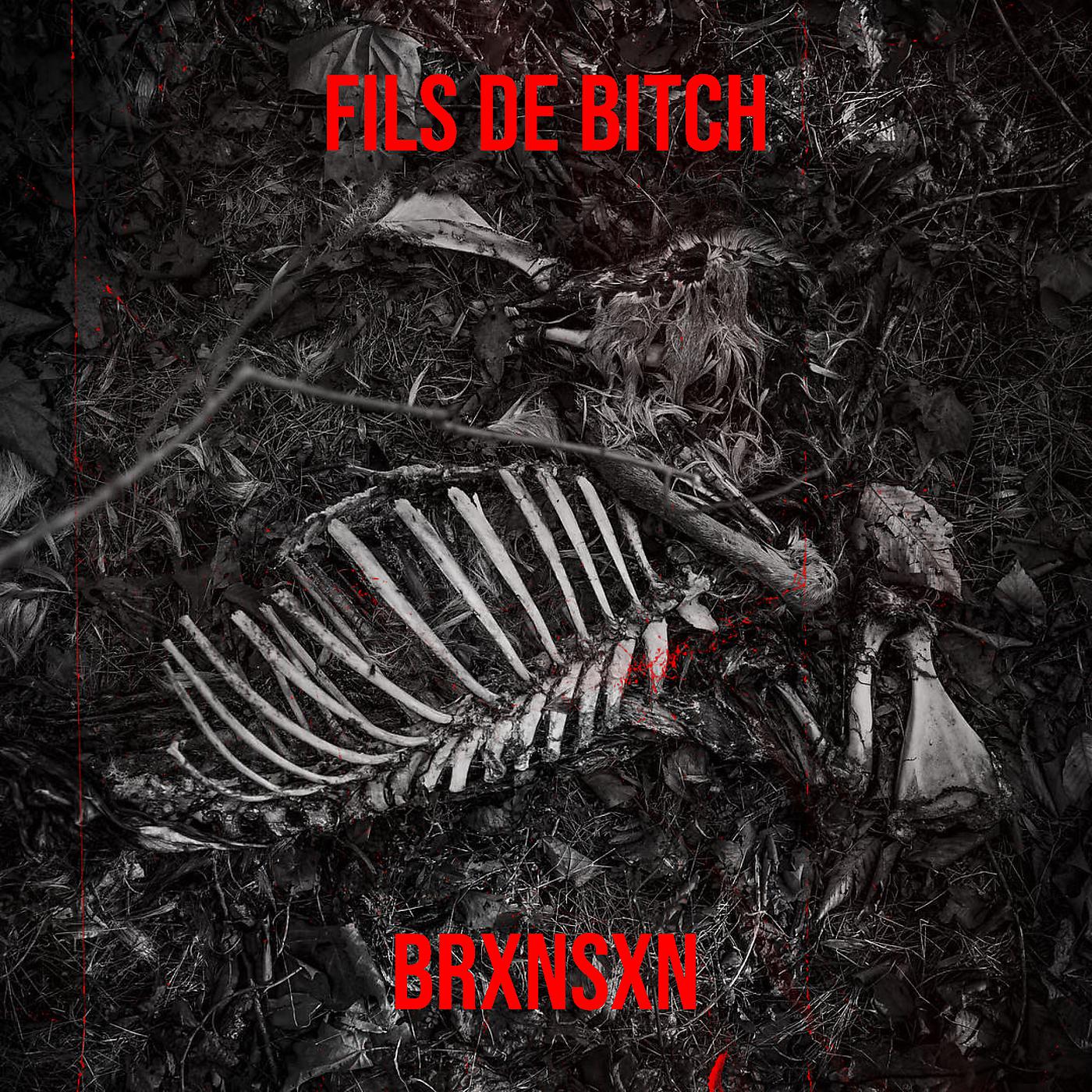 Постер альбома Fils de bitch