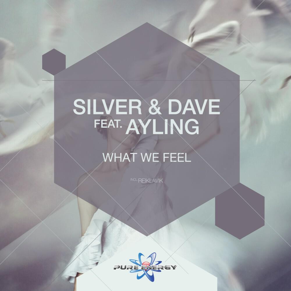 Silver - What We Feel (Reiklavik Remix)